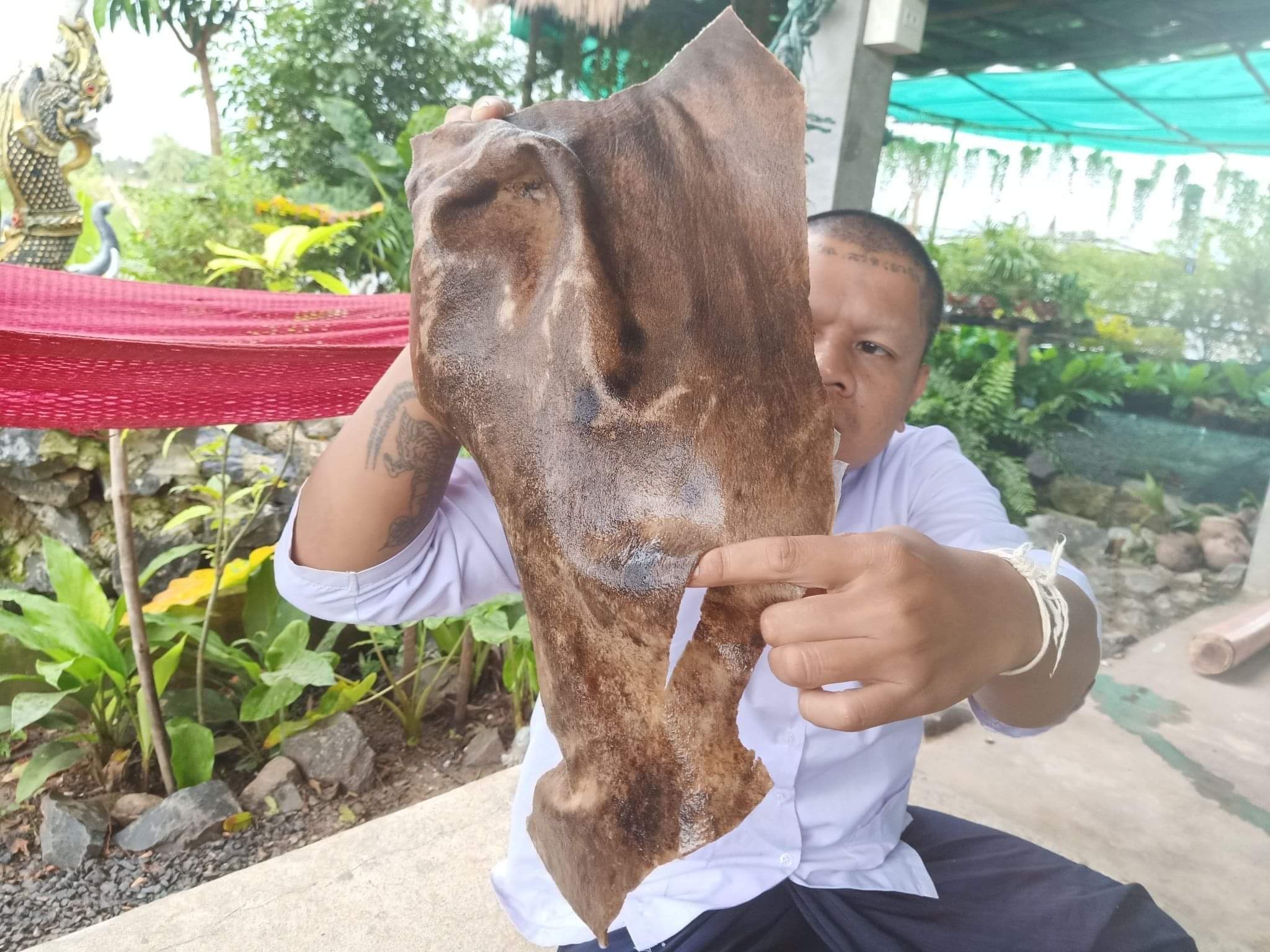 ตะกรุดหนังกลองแตกแหวกใจมนุษย์ อาจารย์เขมร FLT