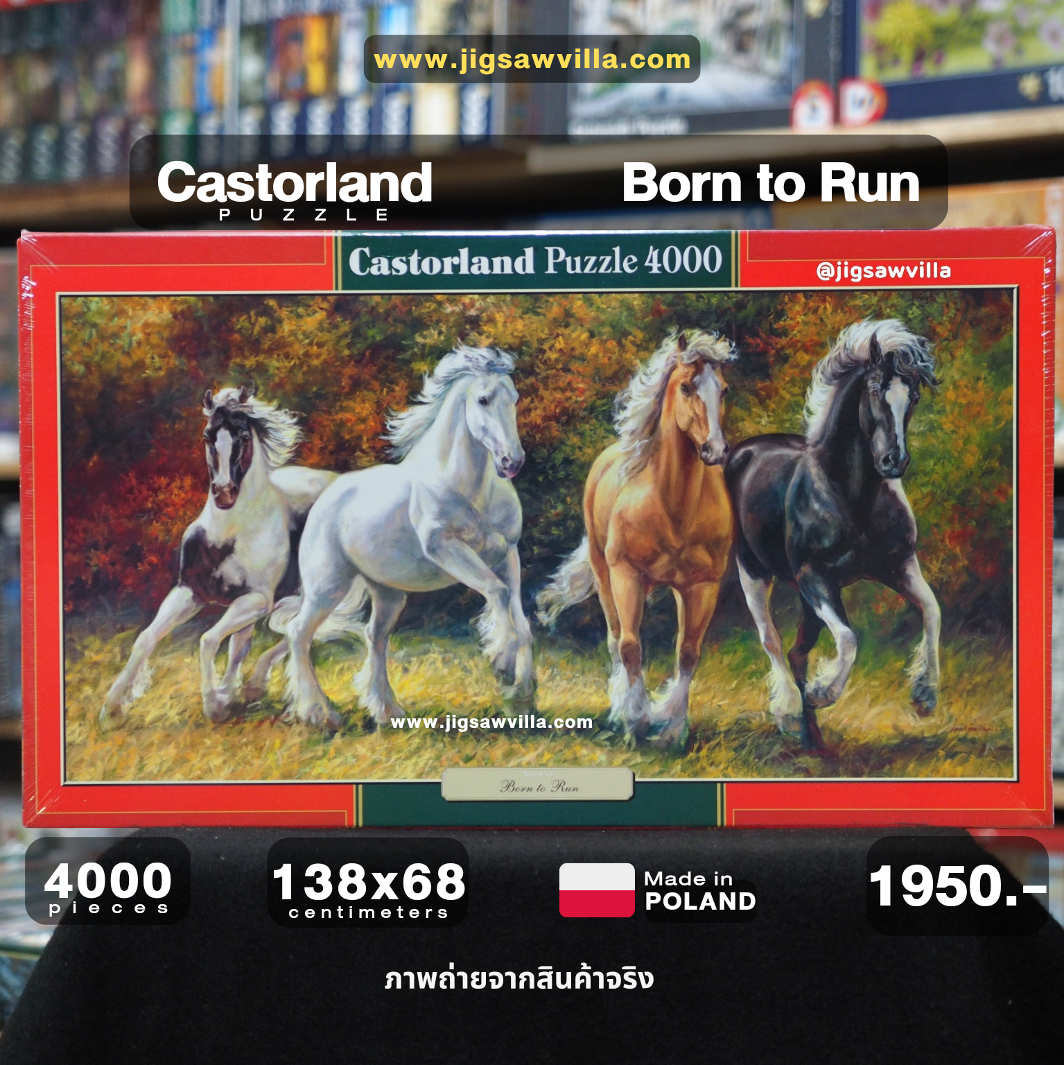 Castorland - Born to Run 4000 pcs.