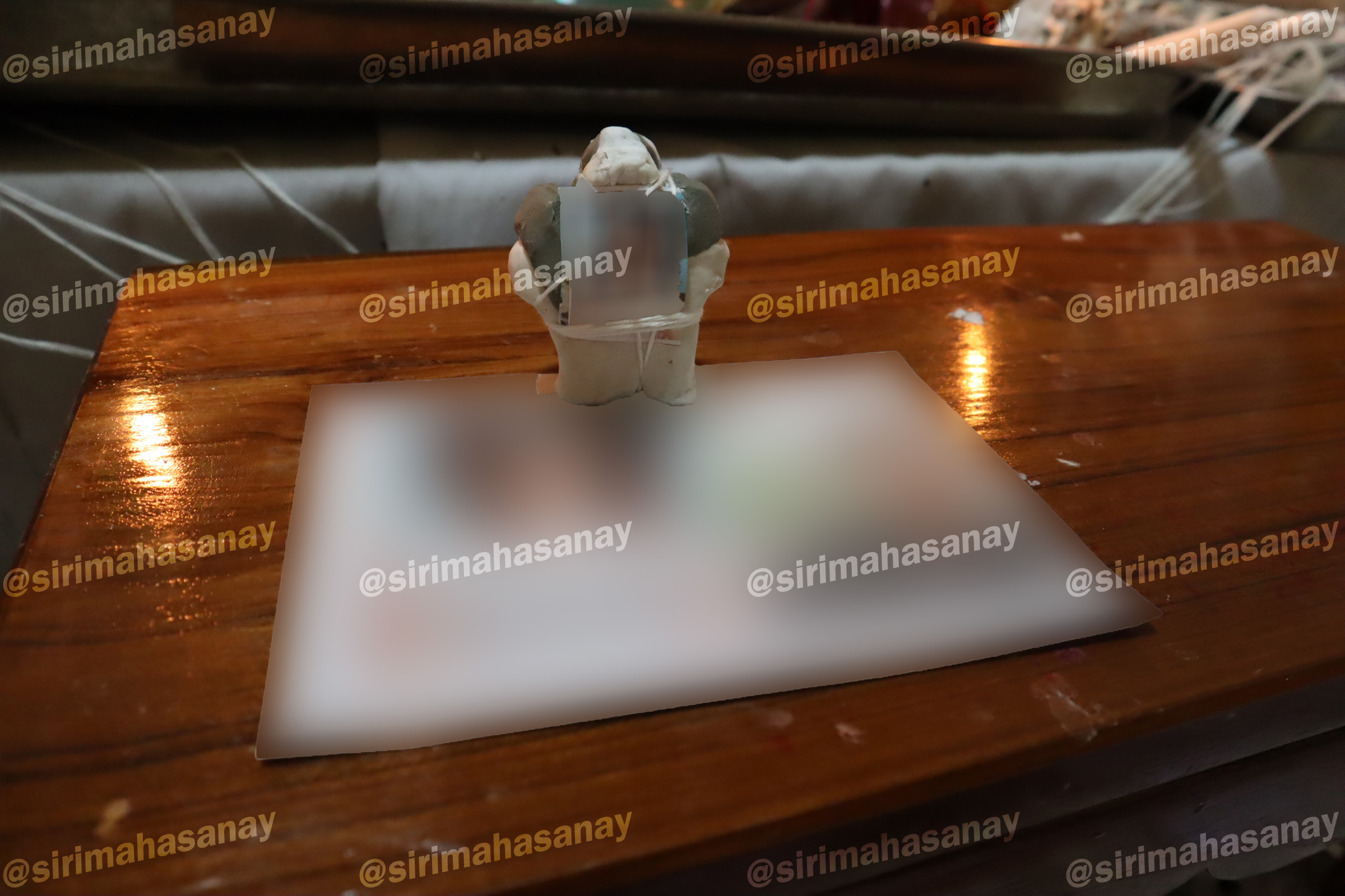 พิธีหุ่นรักคืนรัง อาจารย์เทพประทานพร สมุทรปราการ V2