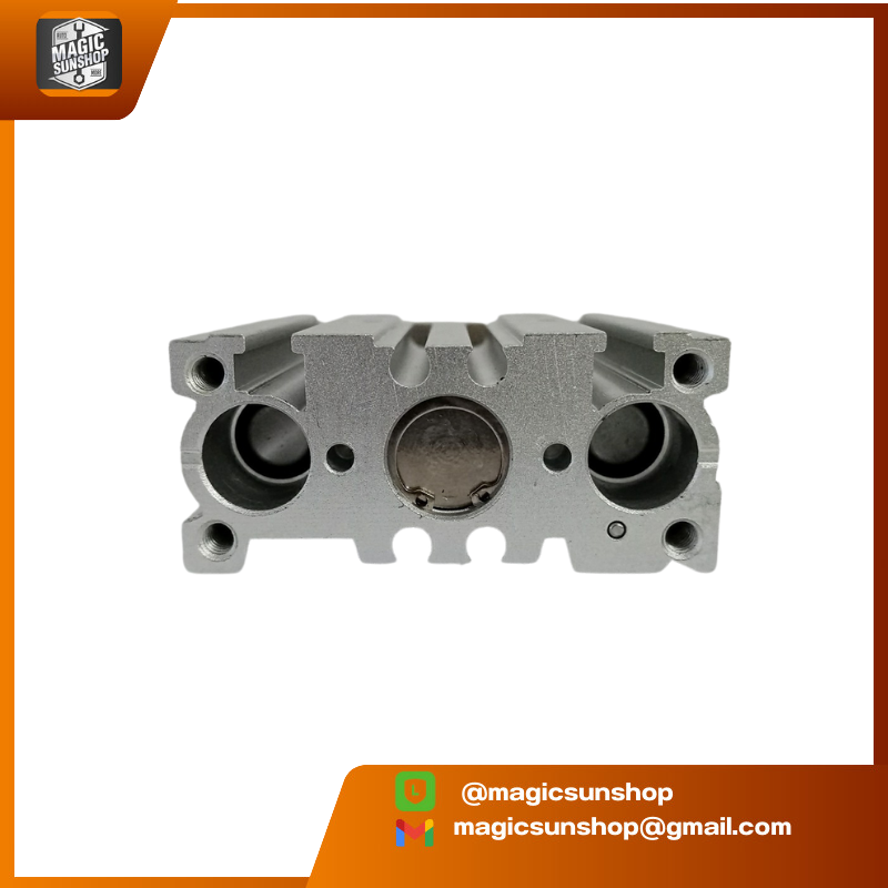 SMC Cylinder MGPM12-20Z