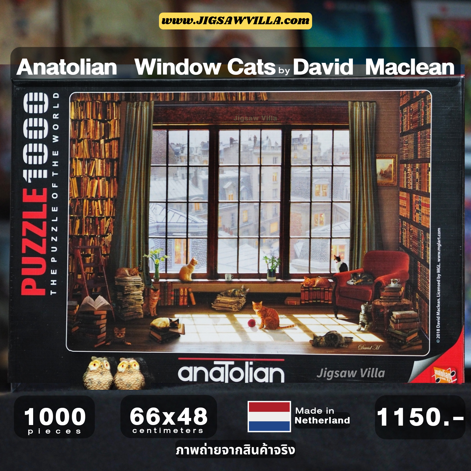 Anatolian - Window Cats by David Maclean 1000 pcs.