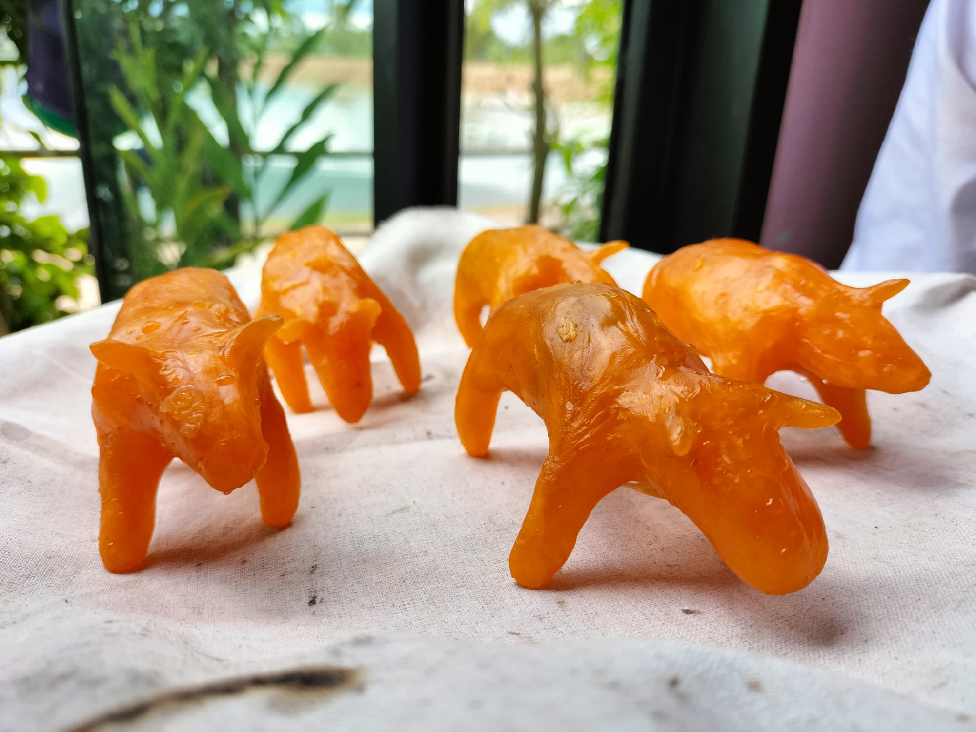 วัวธนูอาคม (โกบาสนาเตะ) อาจารย์เขมร