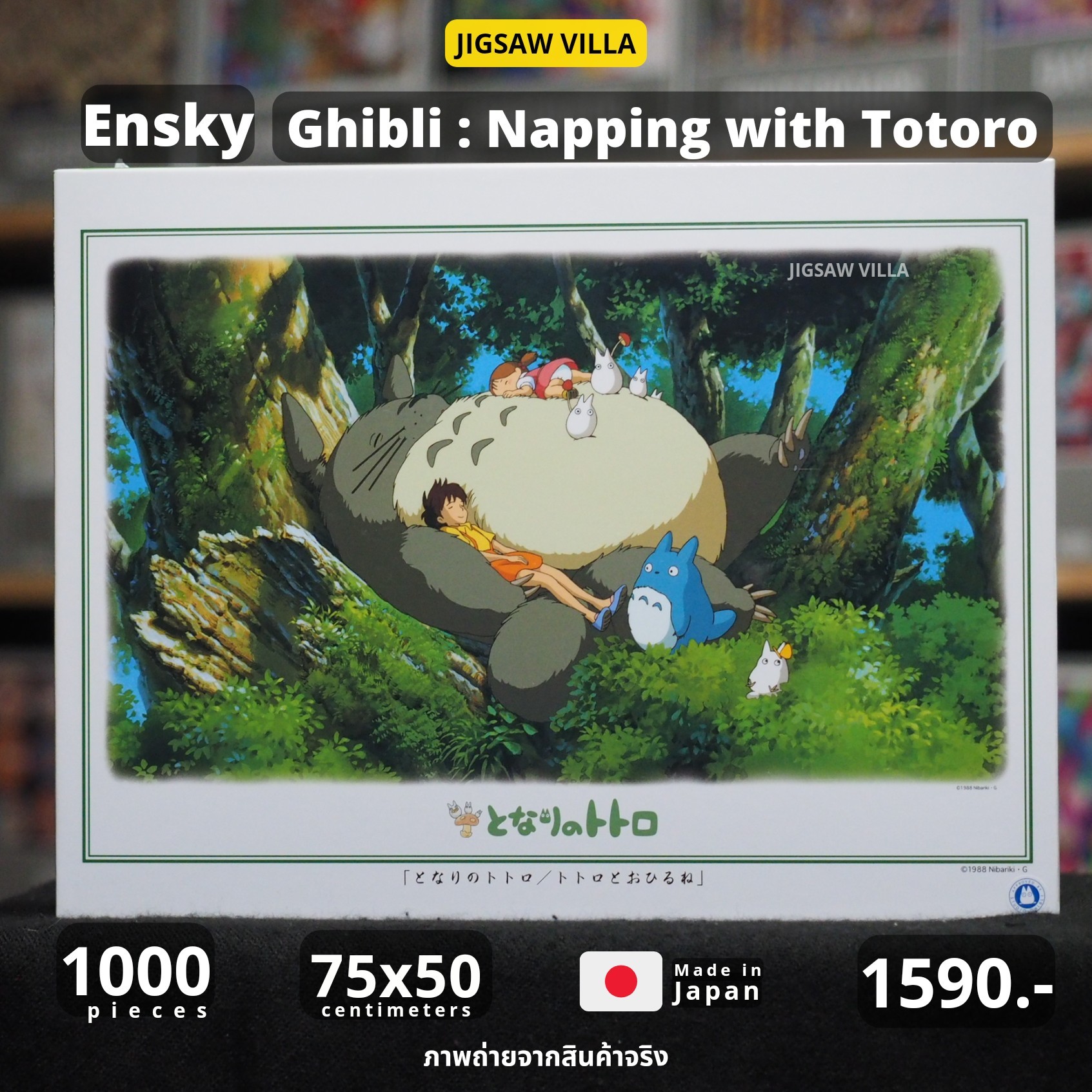 Ensky - (Artbox) - Ghibli : Napping With Totoro 1000 pcs.