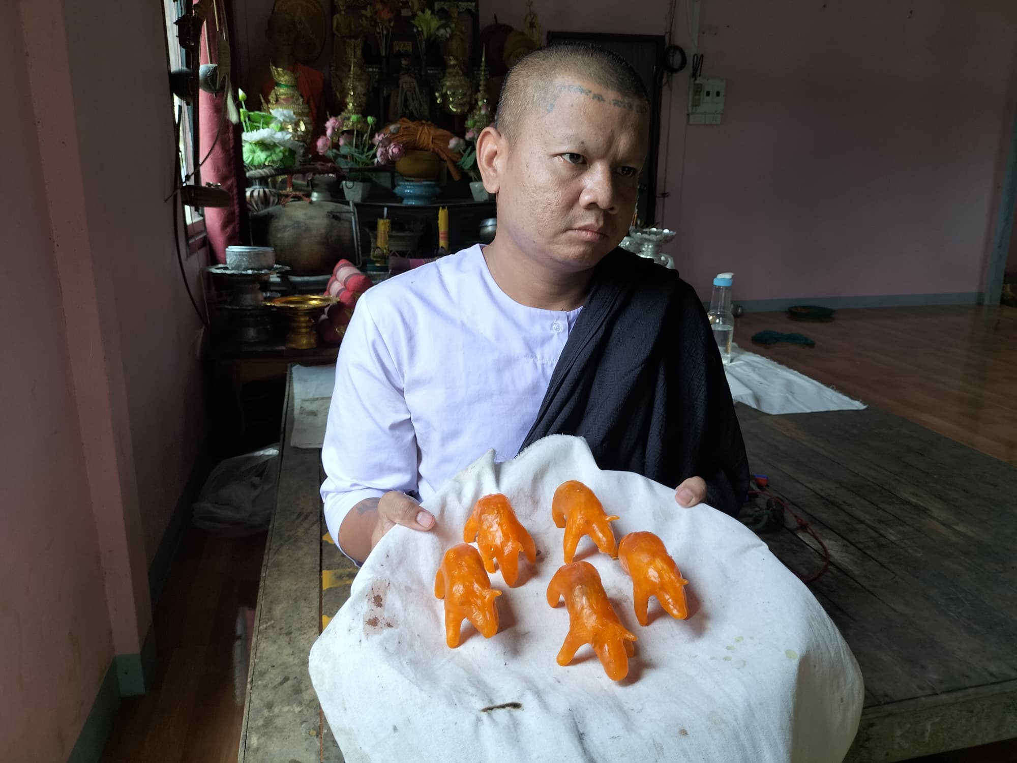 วัวธนูอาคม (โกบาสนาเตะ) อาจารย์เขมร