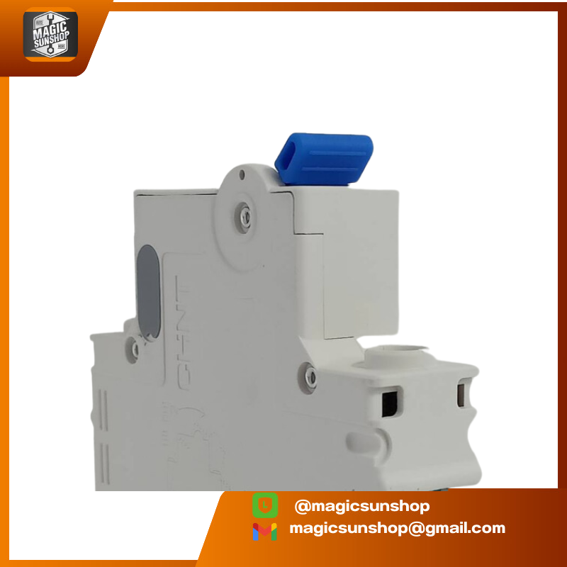 CHINT เบรคเกอร์ Circuit Breaker NXB-63 C2 1P