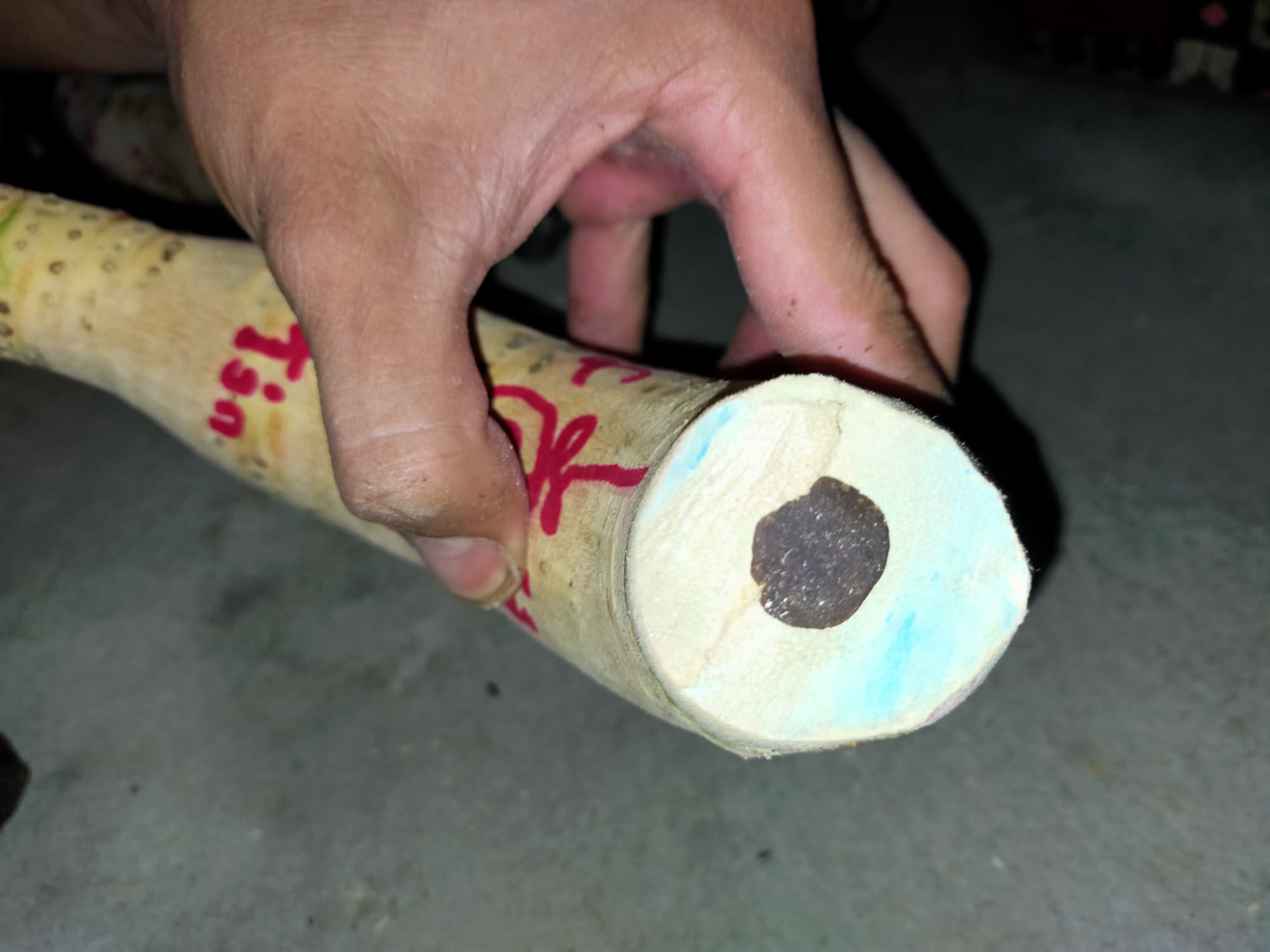 ⭕️ คตไม้ไผ่ อาจารย์โง่ก พจน์รัมย์