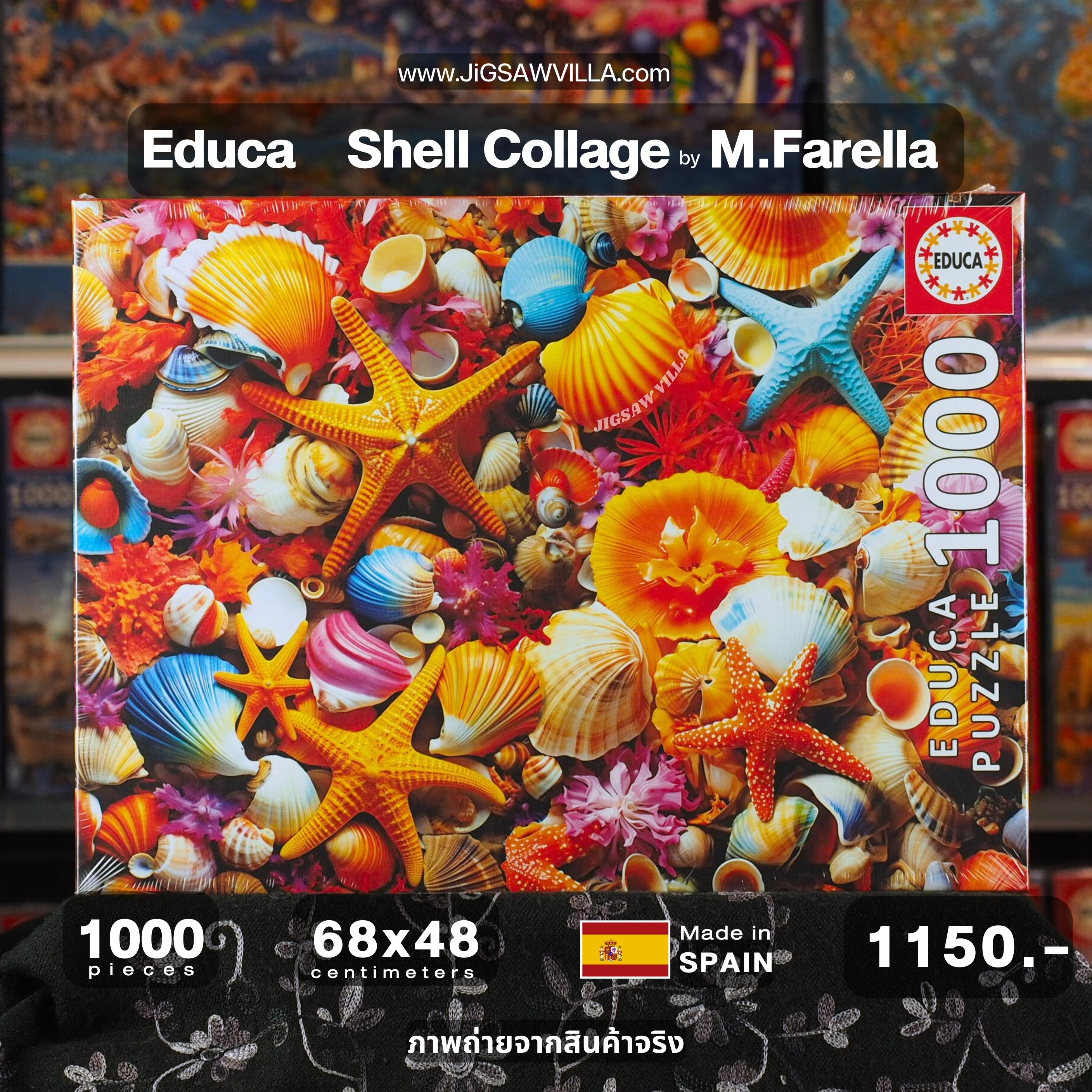 Educa - Shell Collage by M.Farella 1000 pcs.