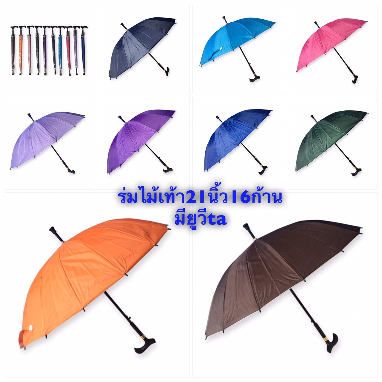 ร่มไม้เท้า16ก้าน21นิ้ว- ta
