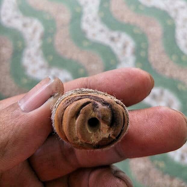 อิ่นรักมัดจิตอิ่นผูกใจ อาจารย์เกื้อกูล