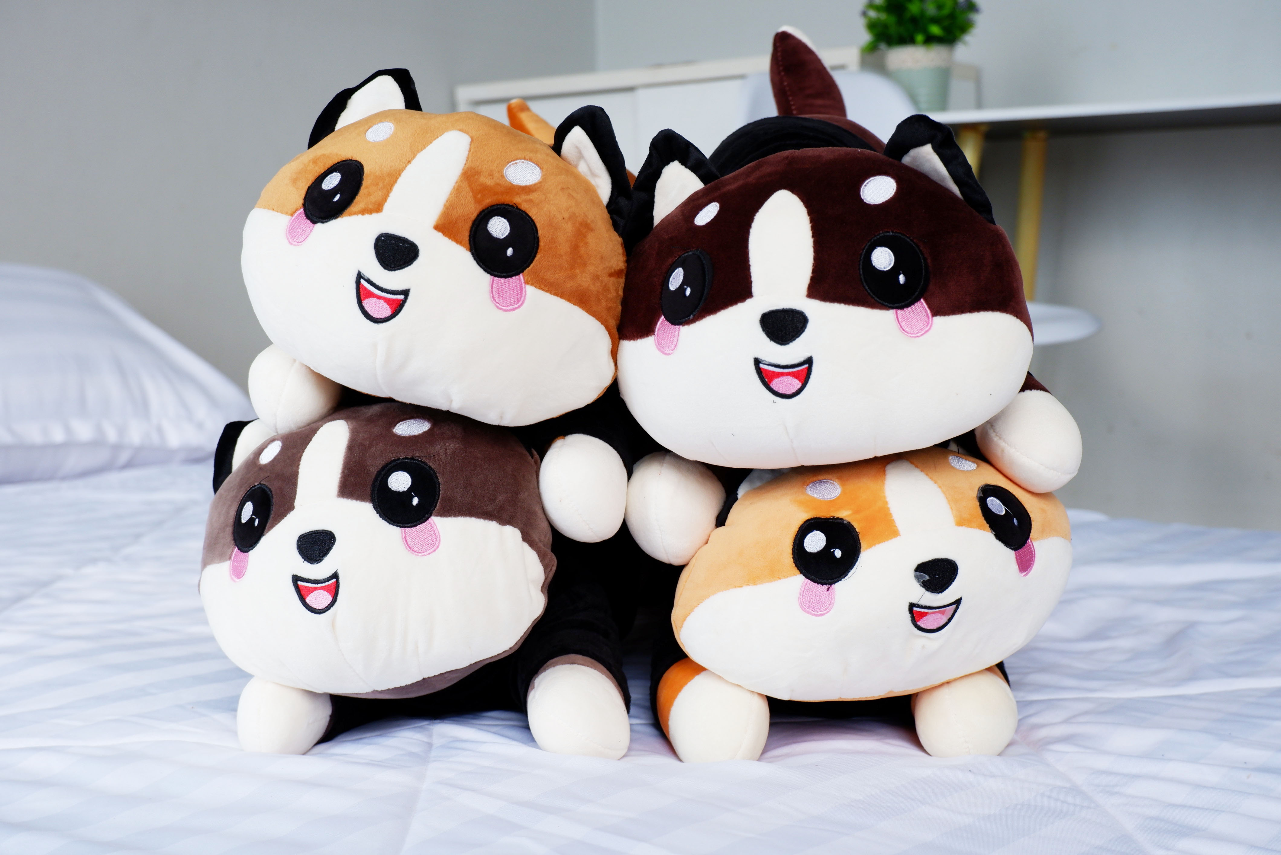 ตุ๊กตาผ้าห่มน้องหมา (10 ตัวคละสี)