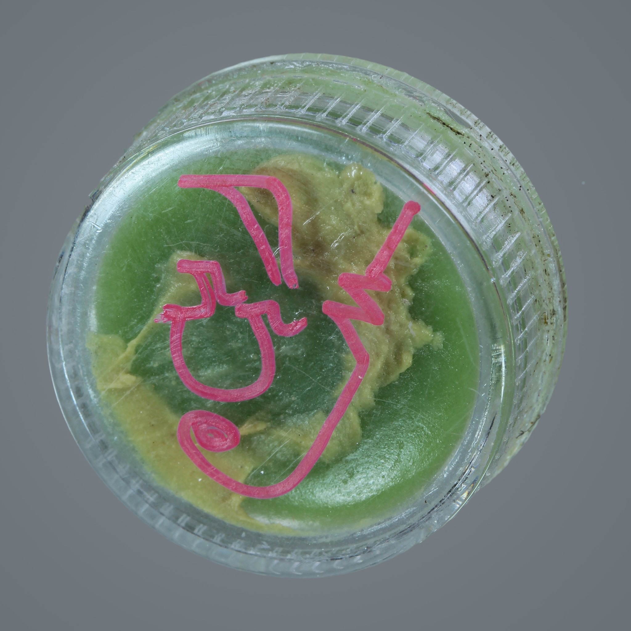 สีผึ้งดลใจไหลหลง อาจารย์เดี่ยว สุทธิกาโร FLT