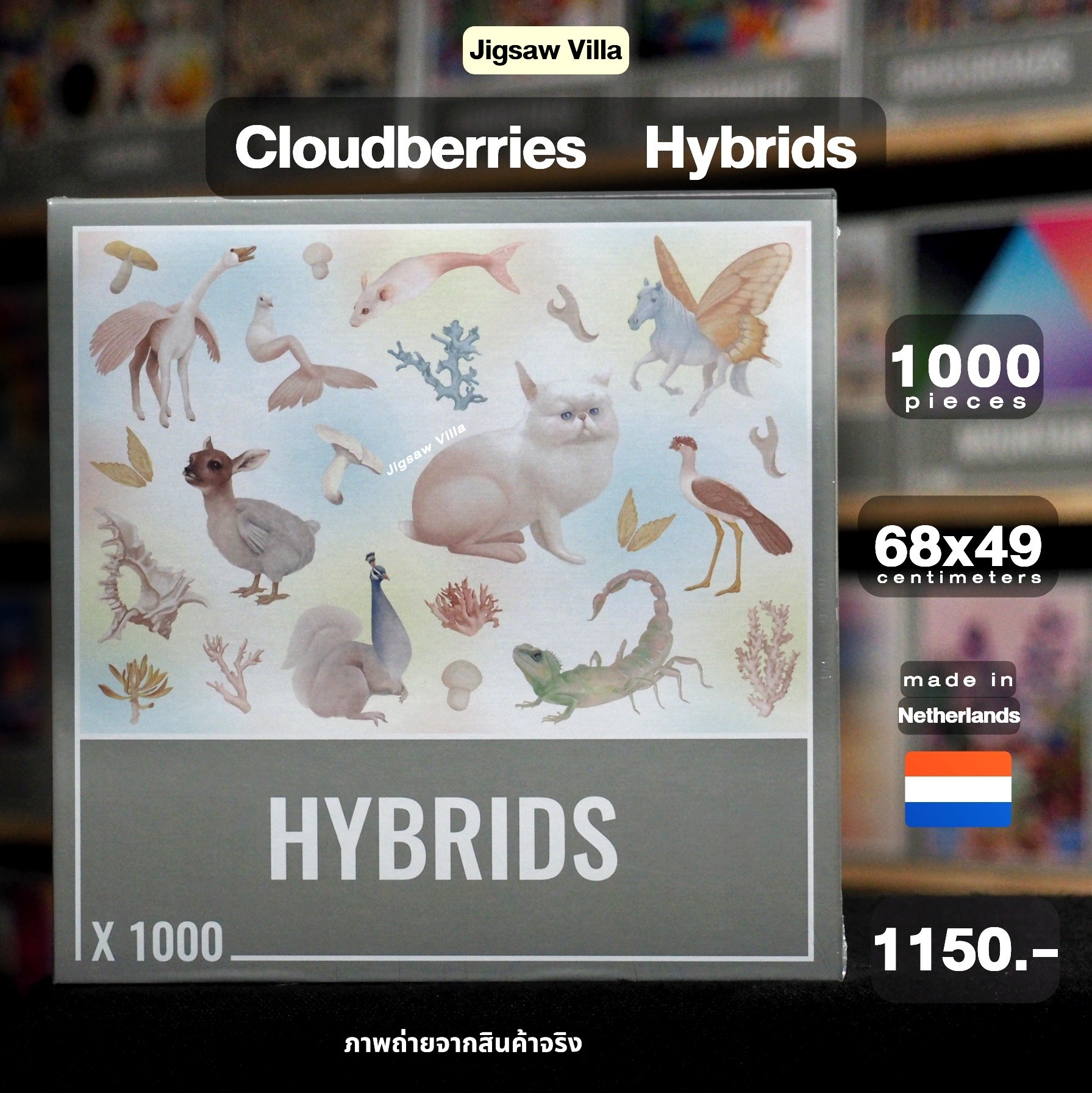 Cloudberries - Hybrids 1000 pcs.