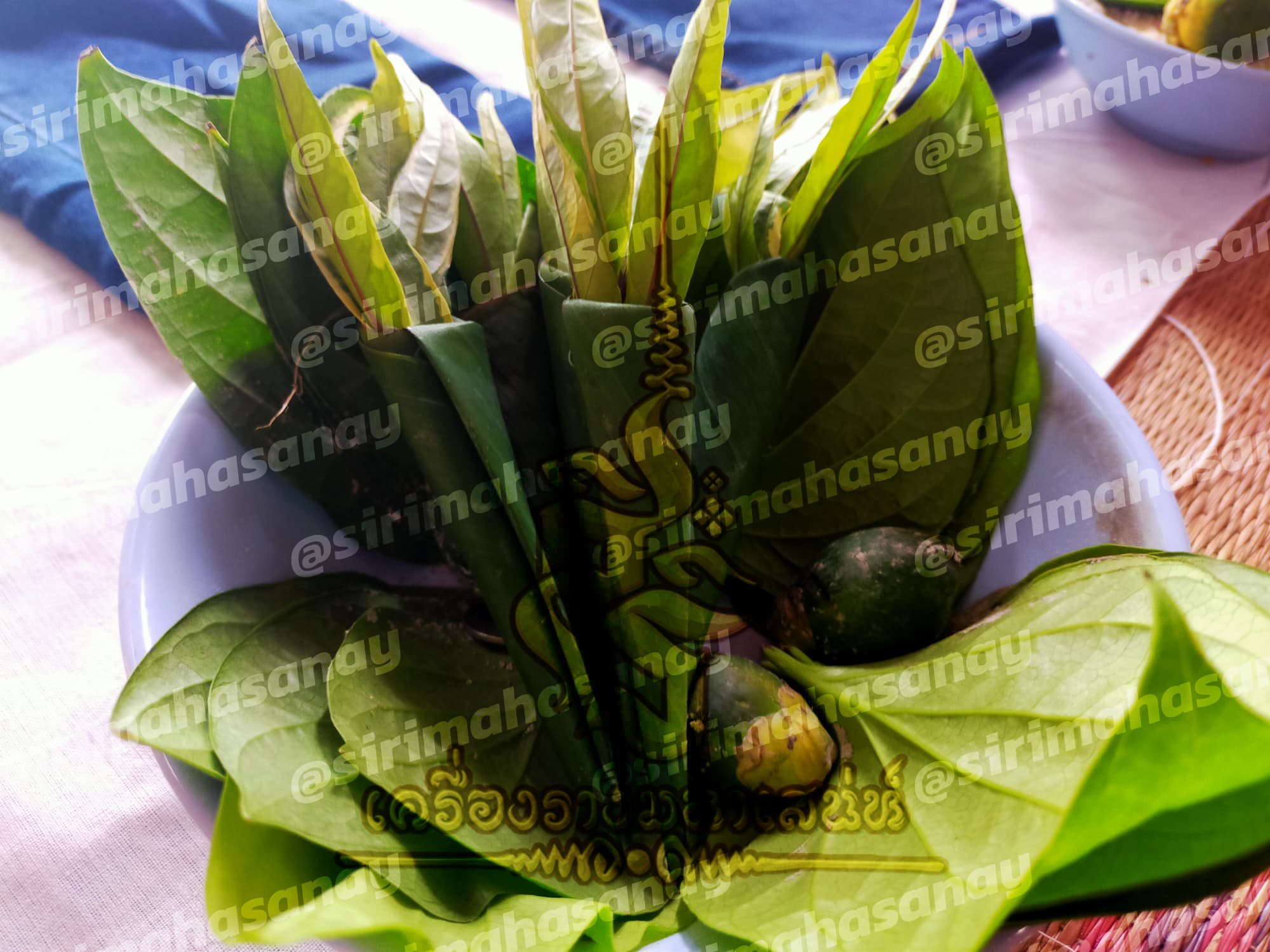 พิธีถอนของ อาจารย์เขมร พนมกุเลน