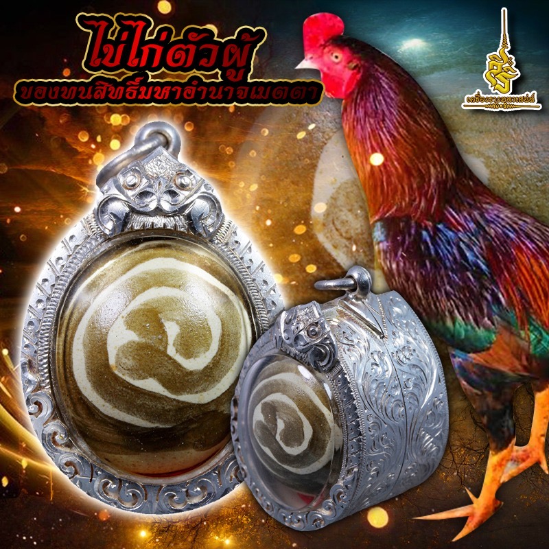 ไข่ไก่ตัวผู้ ของทนสิทธิ์มหาอำนาจเมตตา