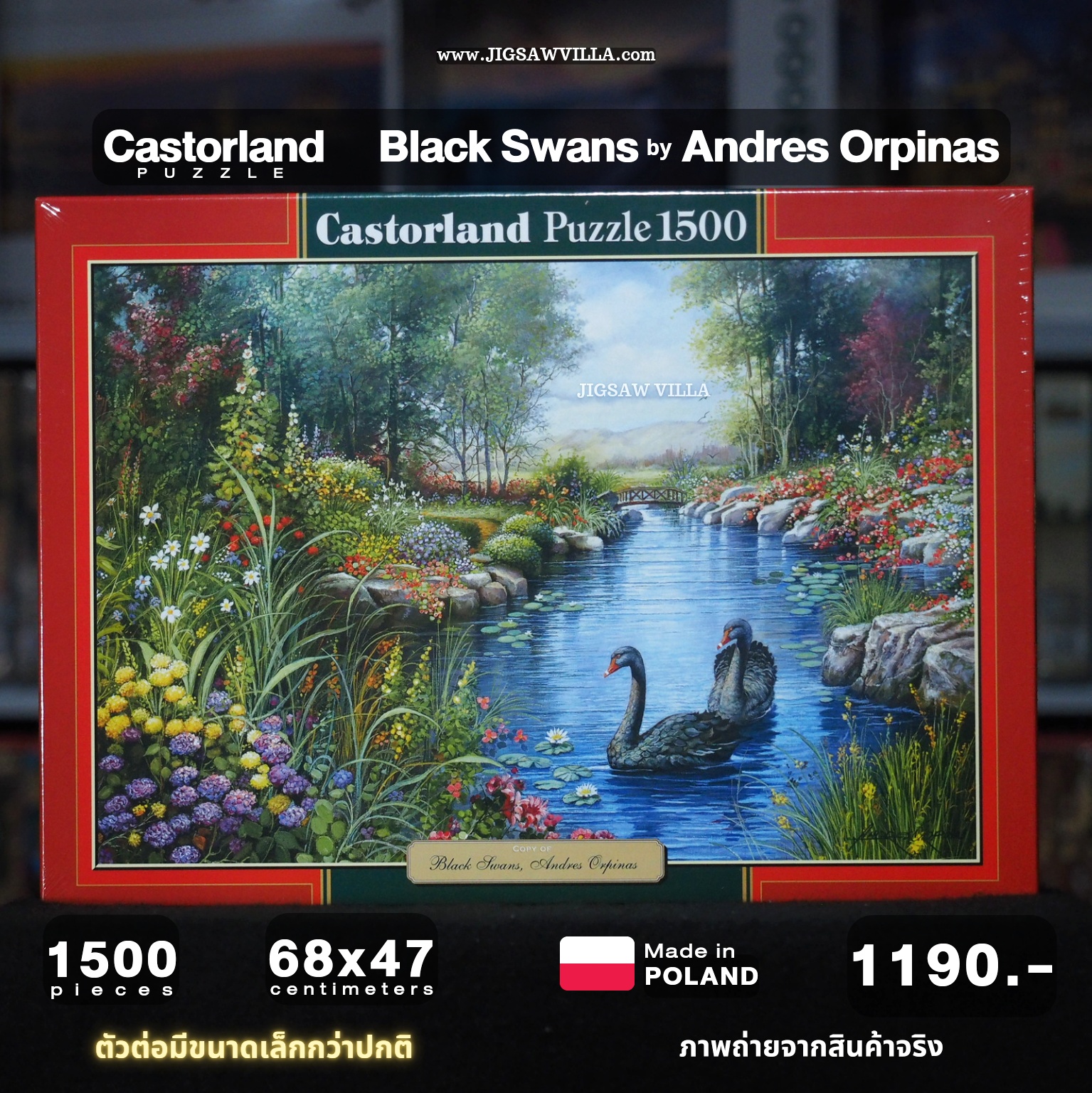 Castorland - Black Swans by Andres Orpinas 1500 pcs.