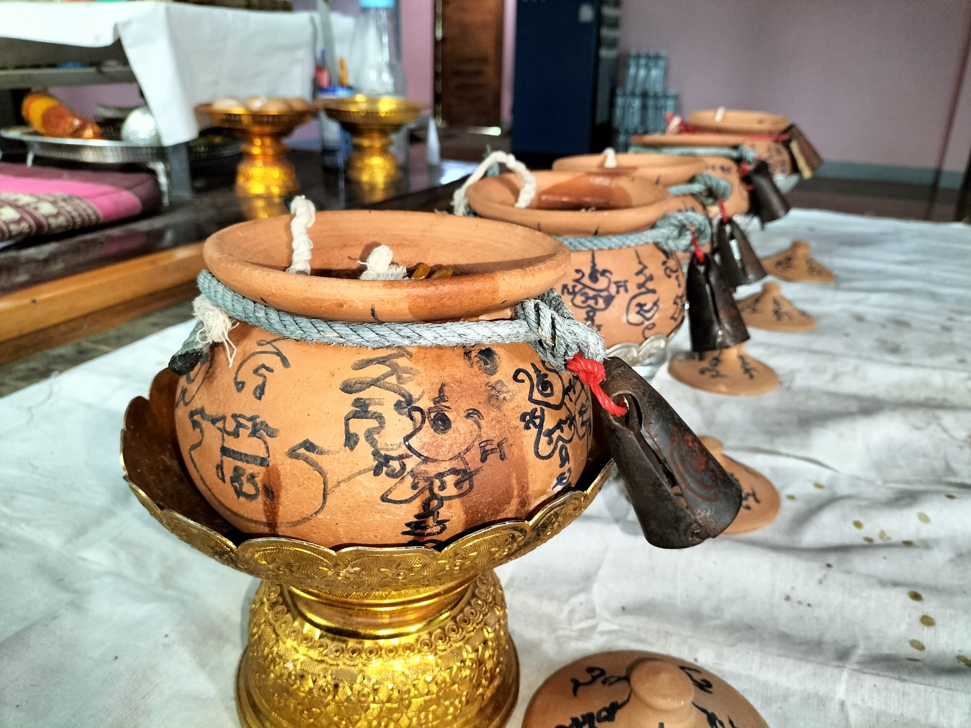 วัวธนูอาคม (โกบาสนาเตะ) อาจารย์เขมร