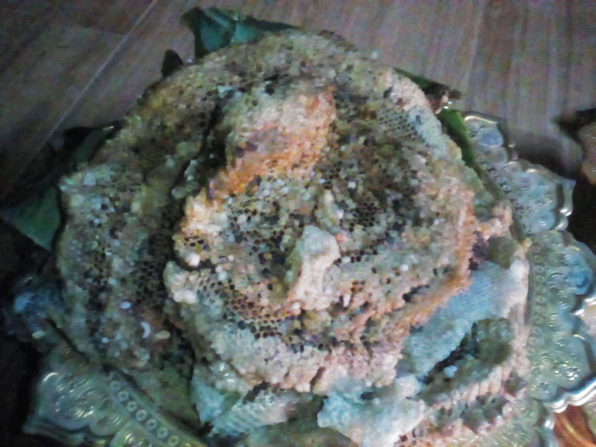 สีผึ้งพรายงูกุเลน อาจารย์เขมร (FL)