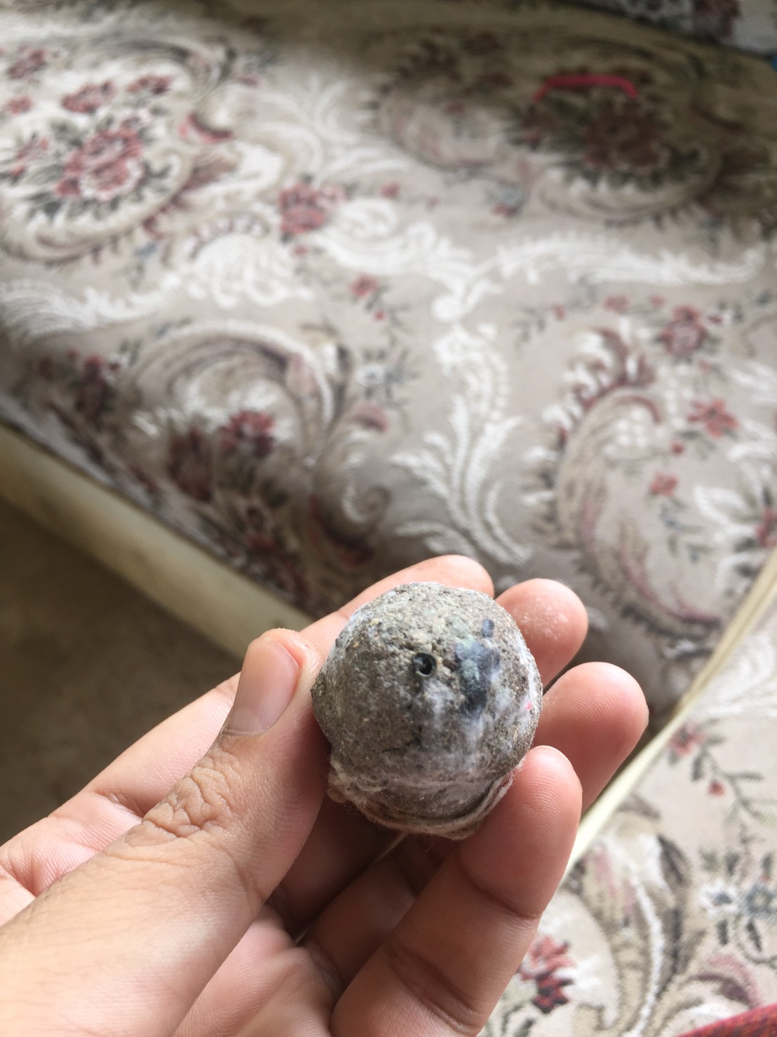 ปลัดขิกผงพราย59ตน ชิ้นใหญ่มากๆ อ.เปล่ง