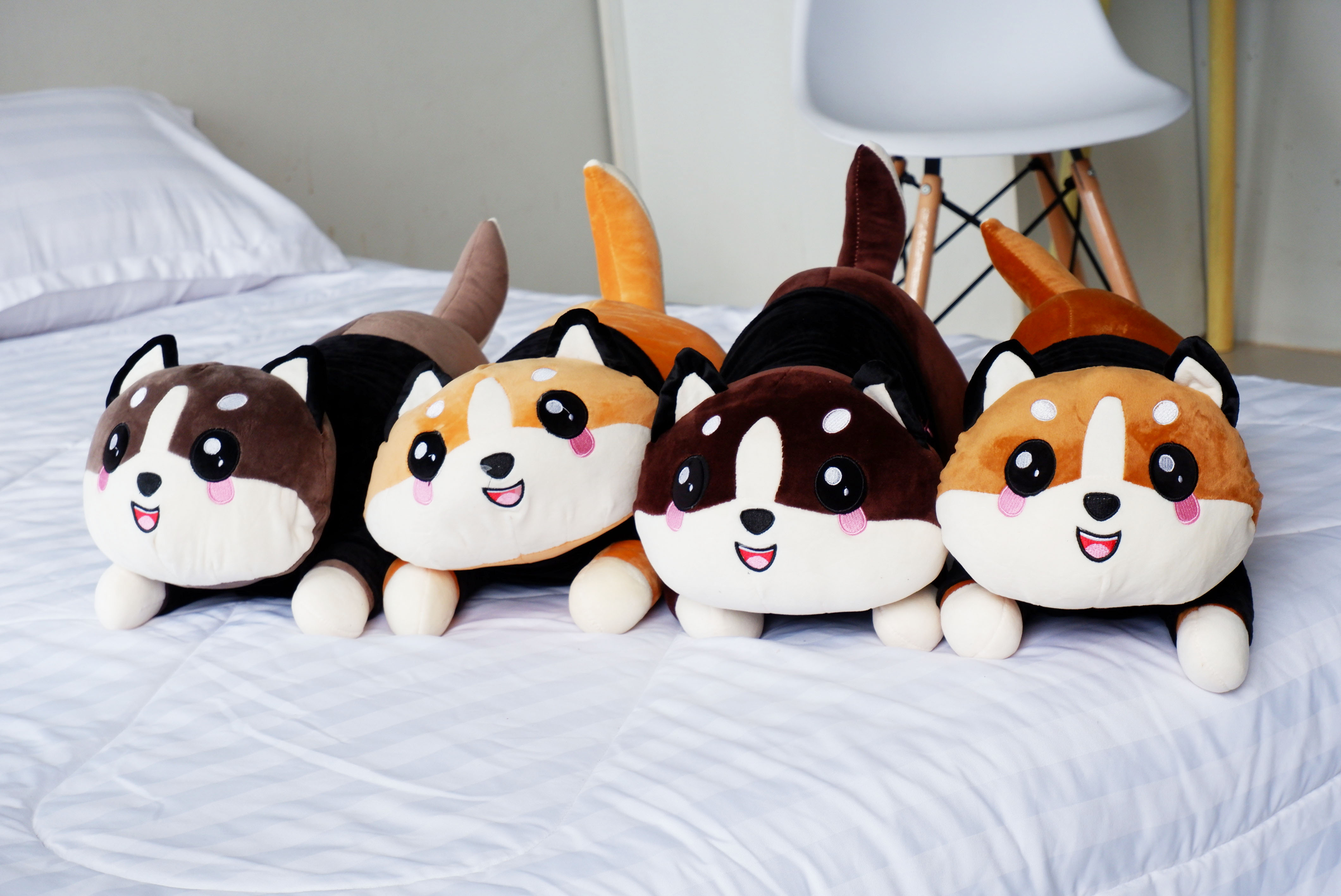 ตุ๊กตาผ้าห่มน้องหมา (10 ตัวคละสี)