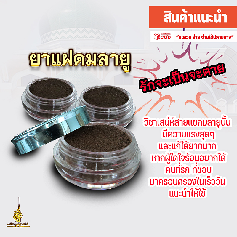 ยาแฝดมาลายู กาเซะเน๊าะมาตี(รักจะเป็นจะตาย)