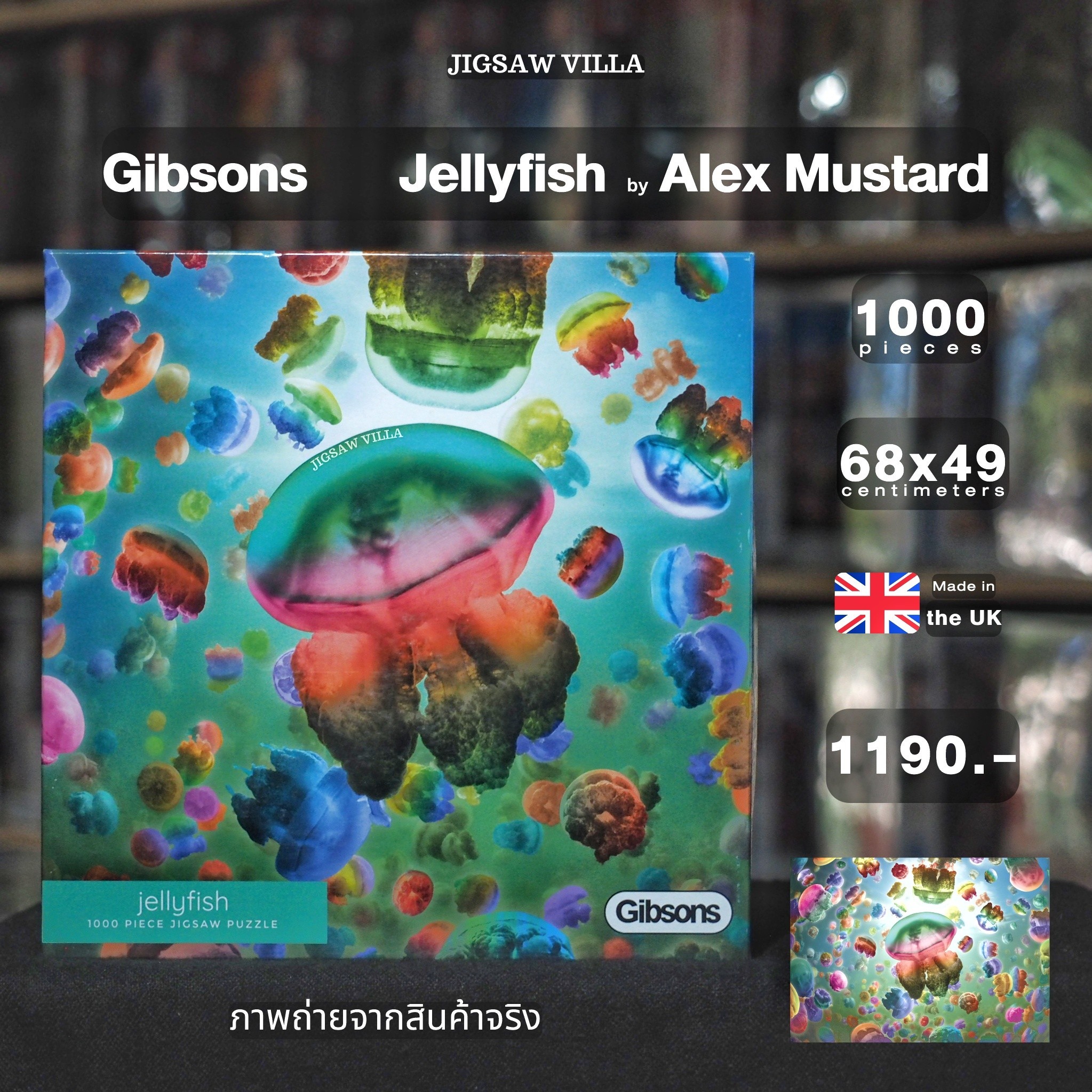 Gibsons - Jellyfish by Alex Mustard 1000 pcs.