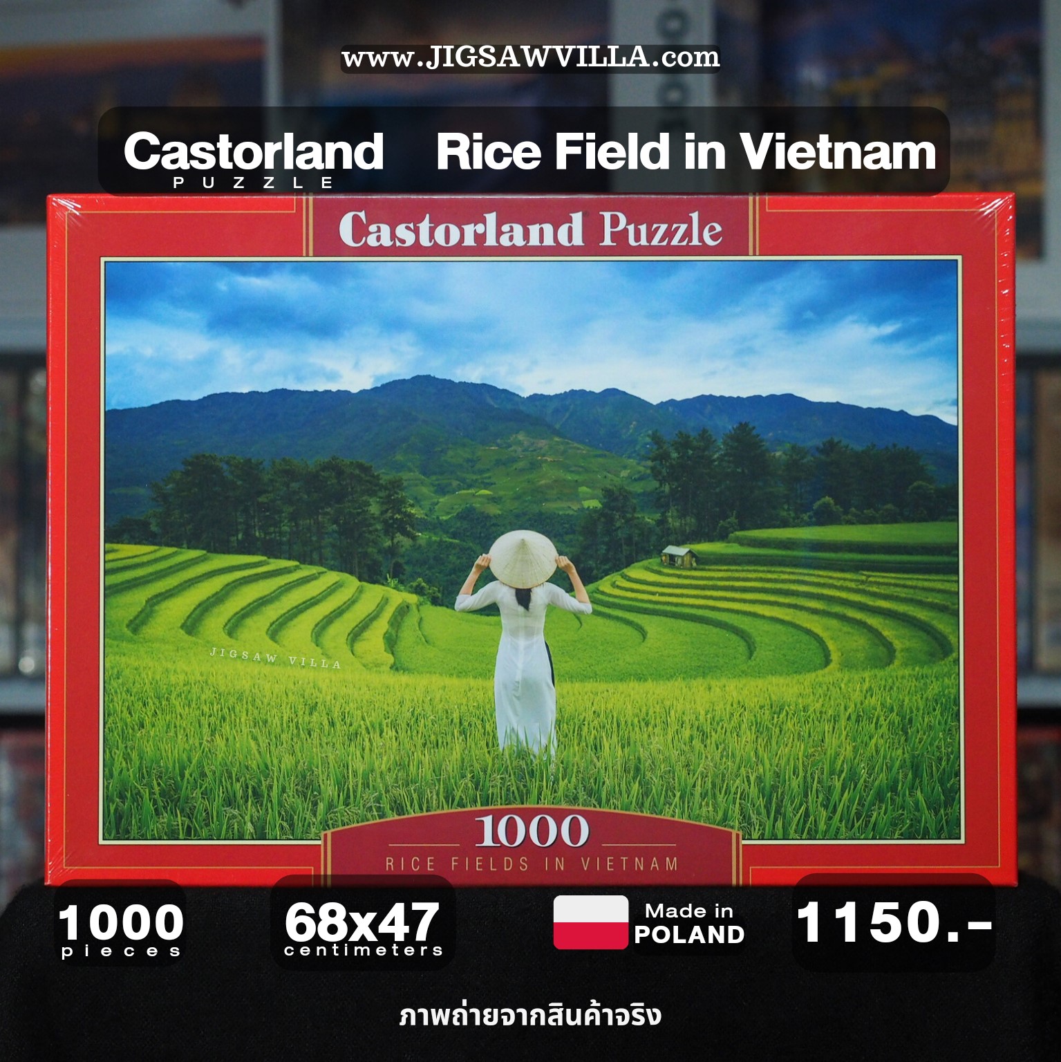 Castorland - Rice Fields in Vietnam 1000 pcs.