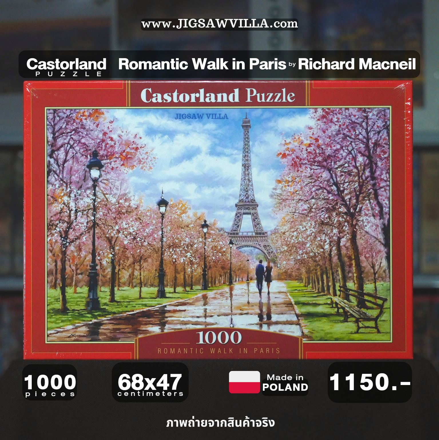 Castorland - Romantic Walk in Paris by Richard MacNeil 1000 pcs.