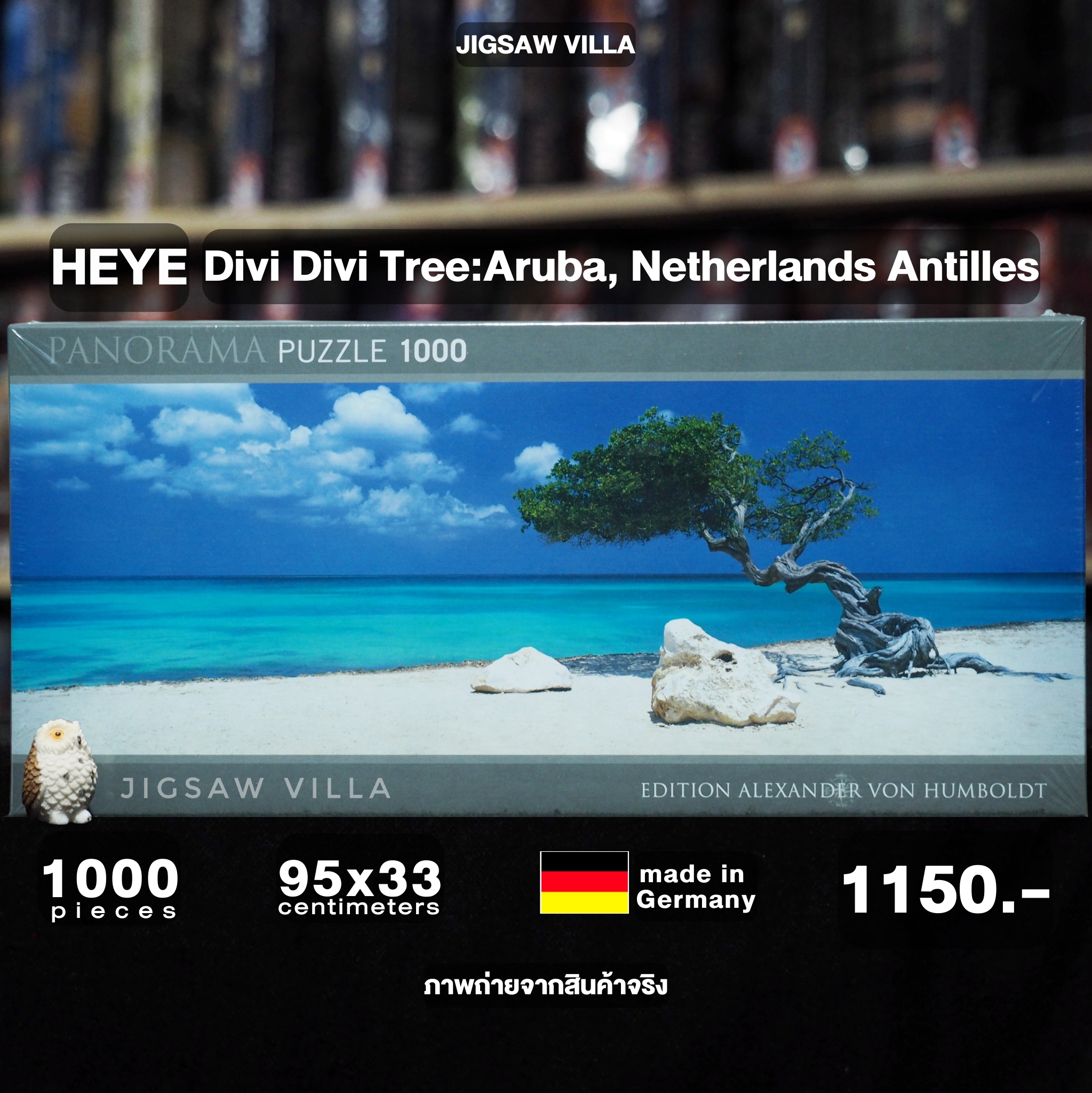 HEYE - Divi Divi Tree by Alexander Von Humboldt (Panorama) 1000 pcs.
