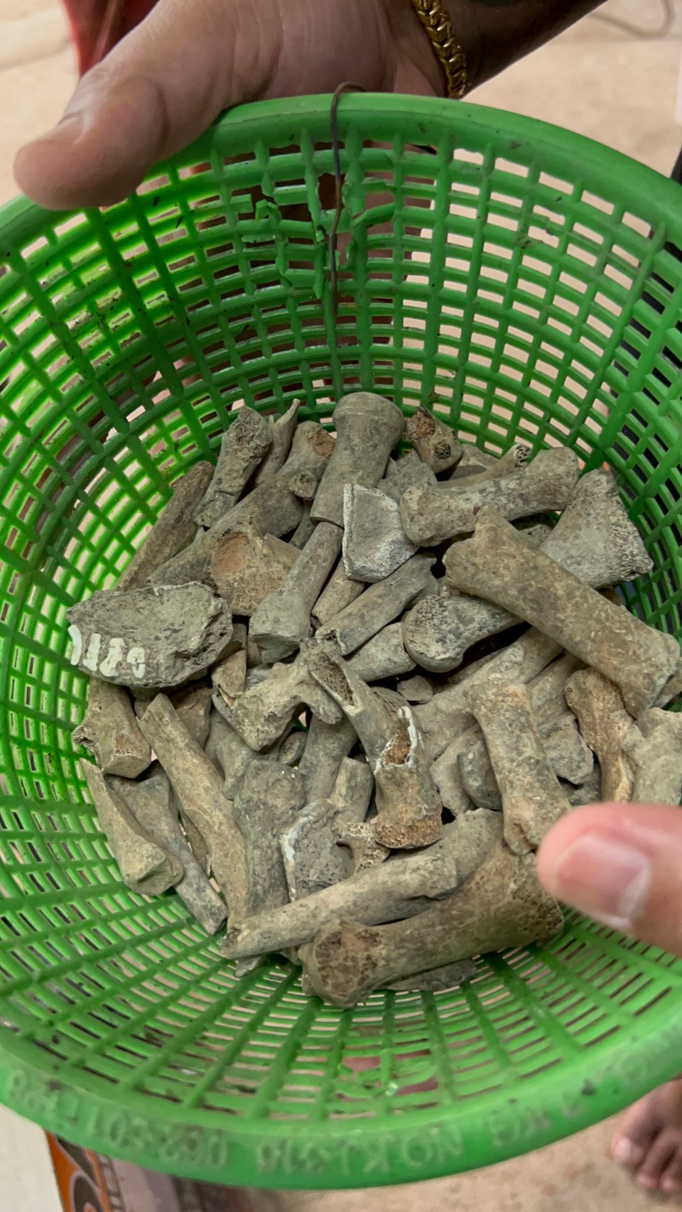 กระดูกข้อผีตายโหงนิ้วหลายศพสำหรับทำขุนแผนพราย65