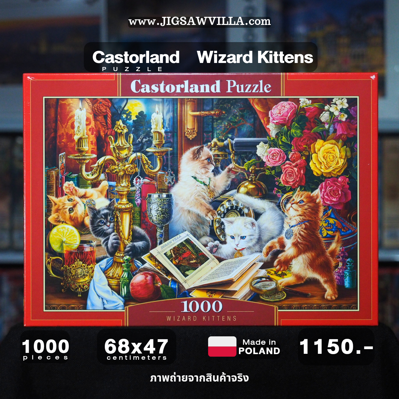 Castorland - Wizard Kittens 1000 pcs.