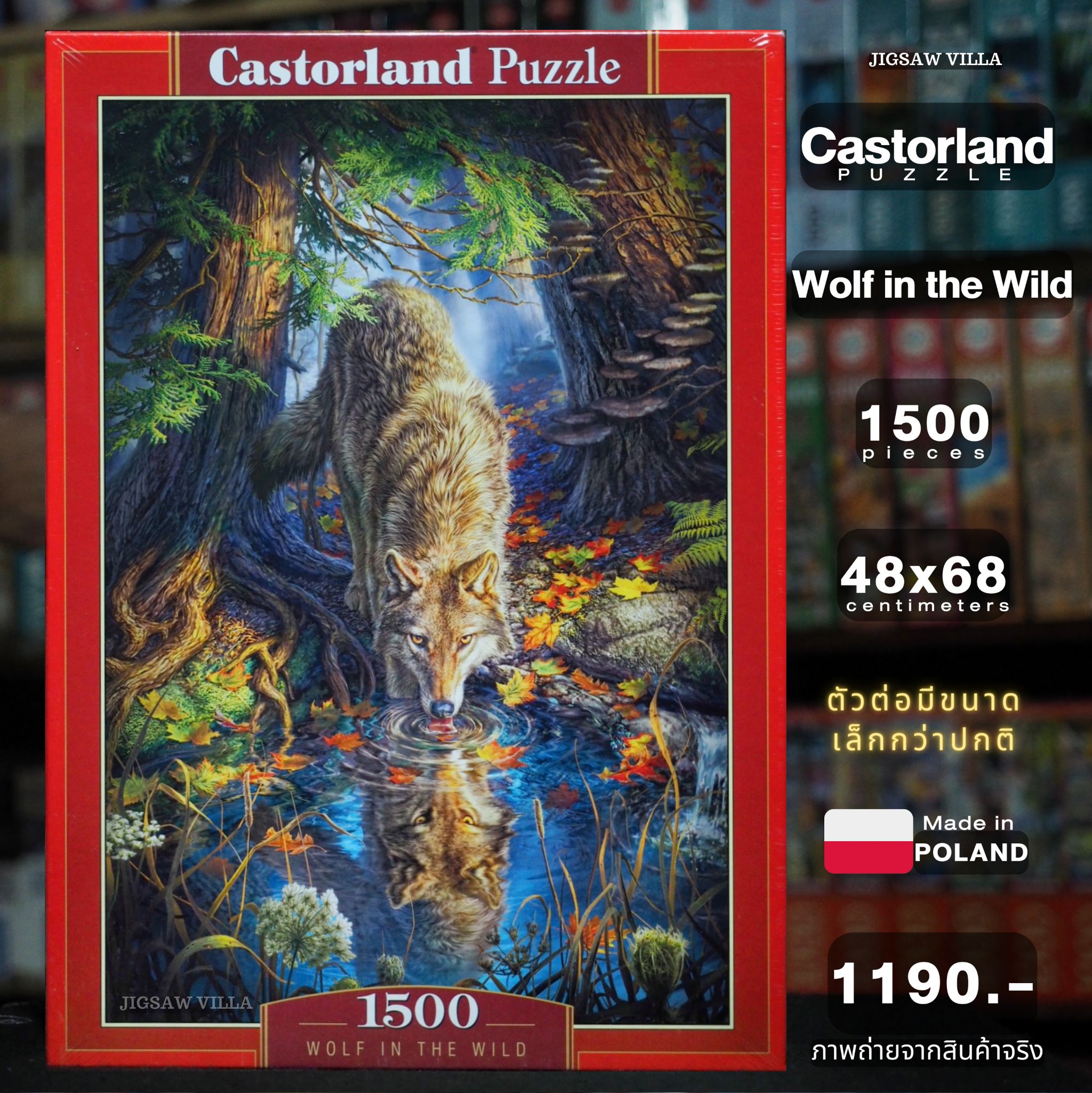 Castorland - Wolf in the Wild 1500 pcs.