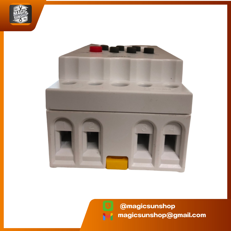 925079 Electron Timer KG316T-II AC220V