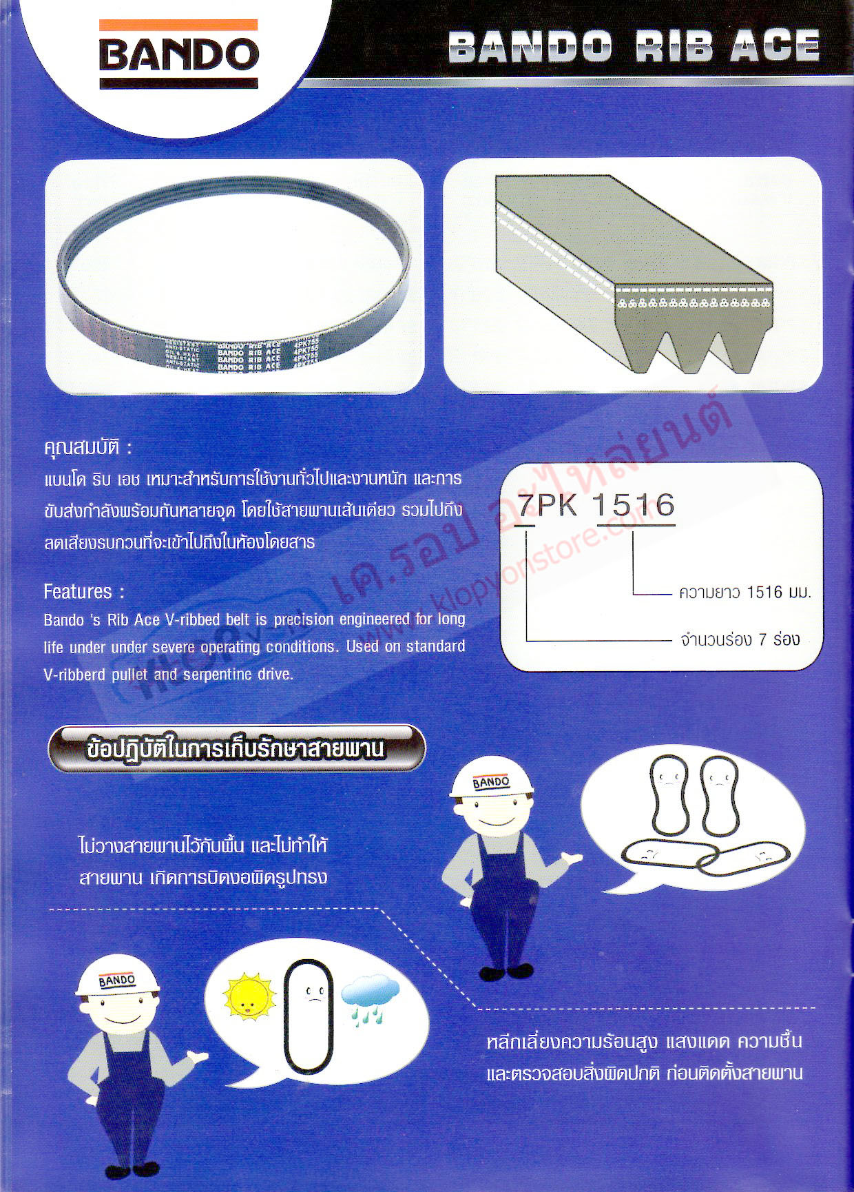 (เบอร์-ขนาด สายพานรถยนต์ Bando) RIB ACE