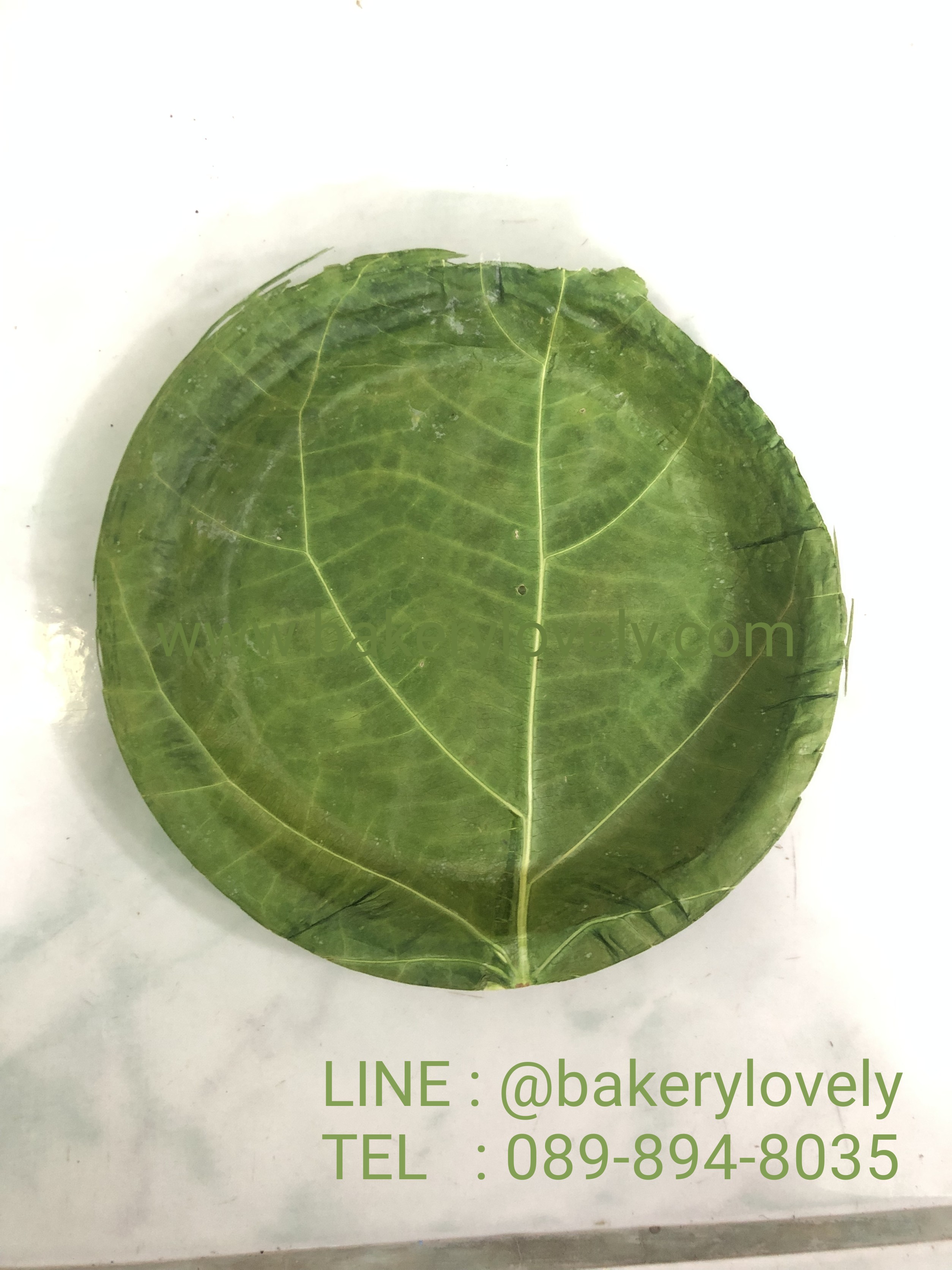 จานใบไม้ 14 cm