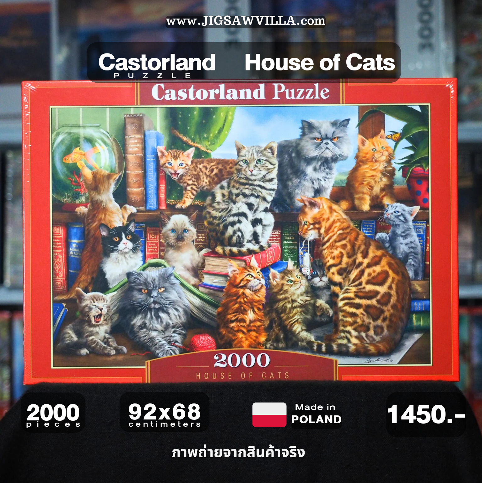 Castorland - House of Cats 2000 pcs.