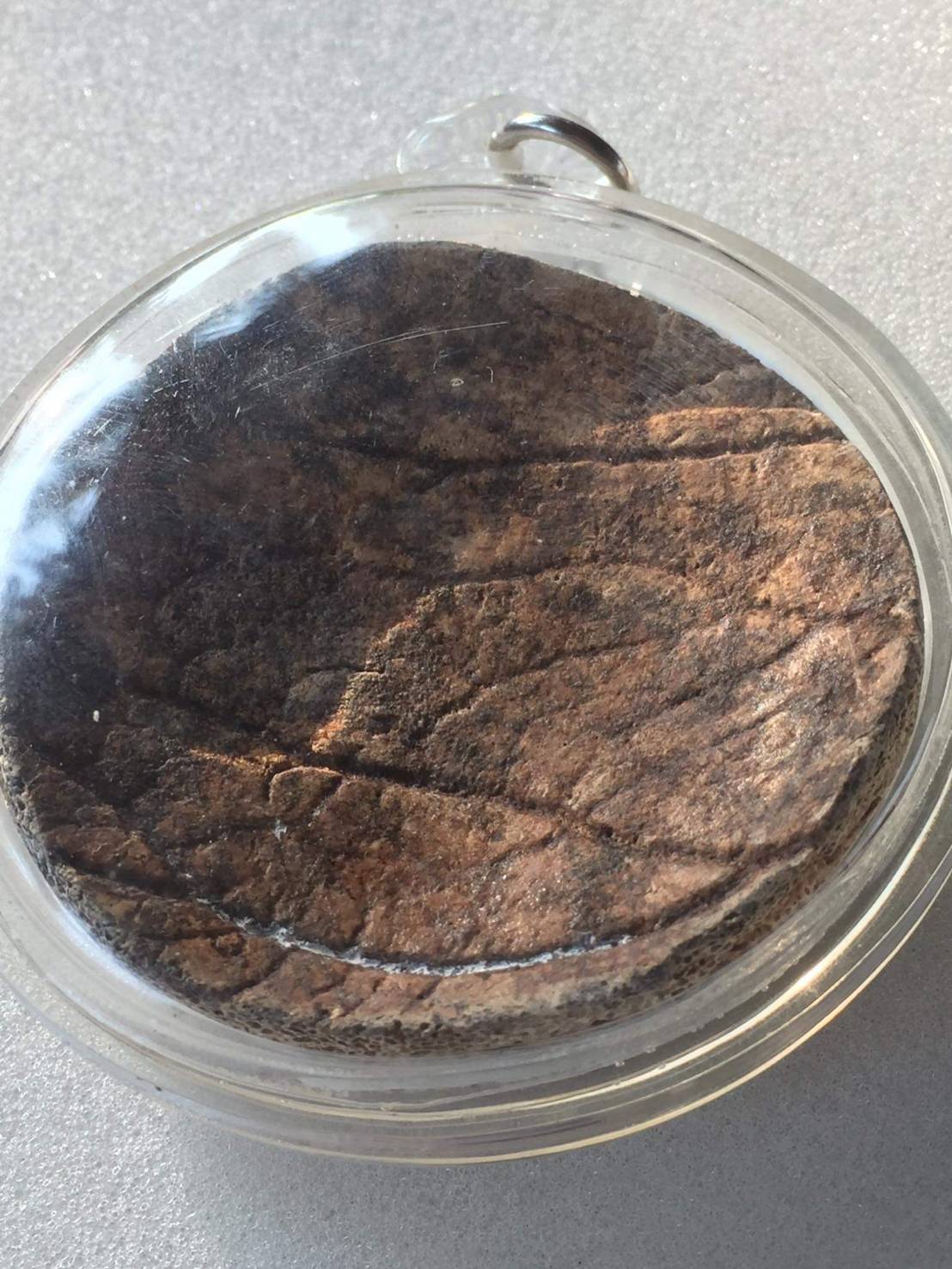 ปั้นเหน่ง