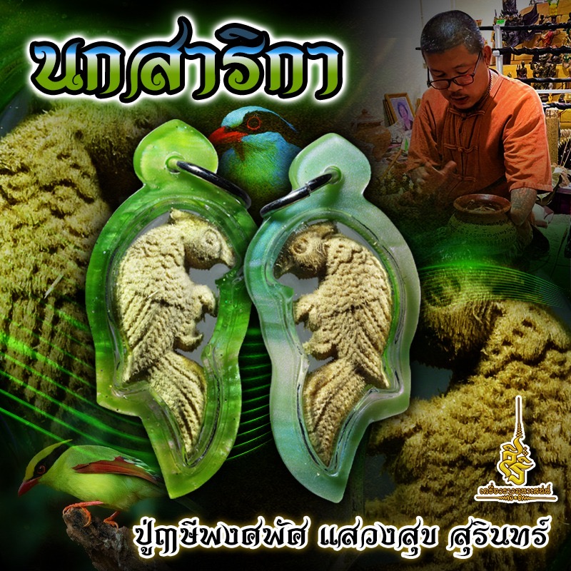 นกสาริกา ปู่ฤาษีพงศพัศ แสวงสุข สุรินทร์ -FLT