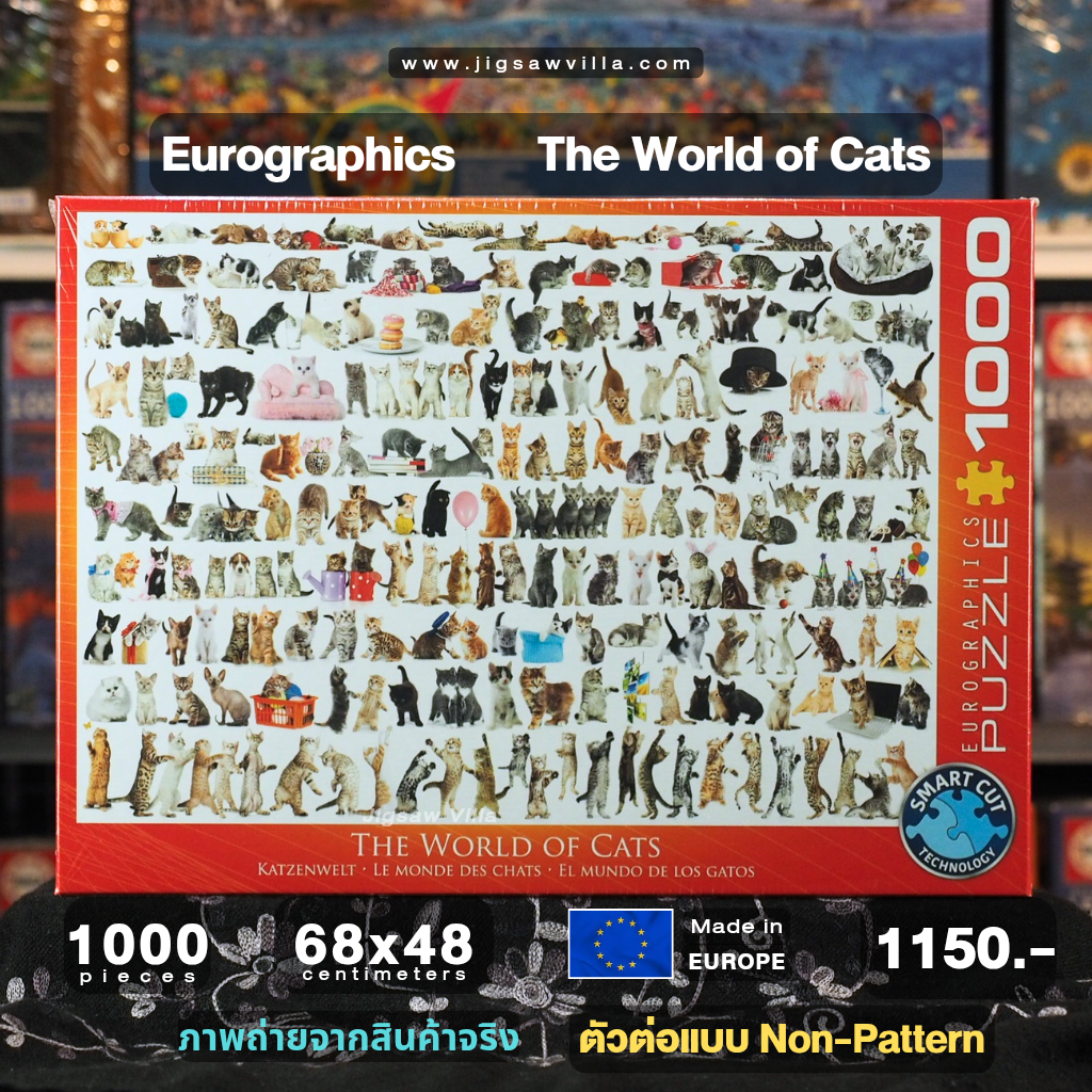 Eurographics - The World of Cats (Non-Pattern) 1000 pcs.