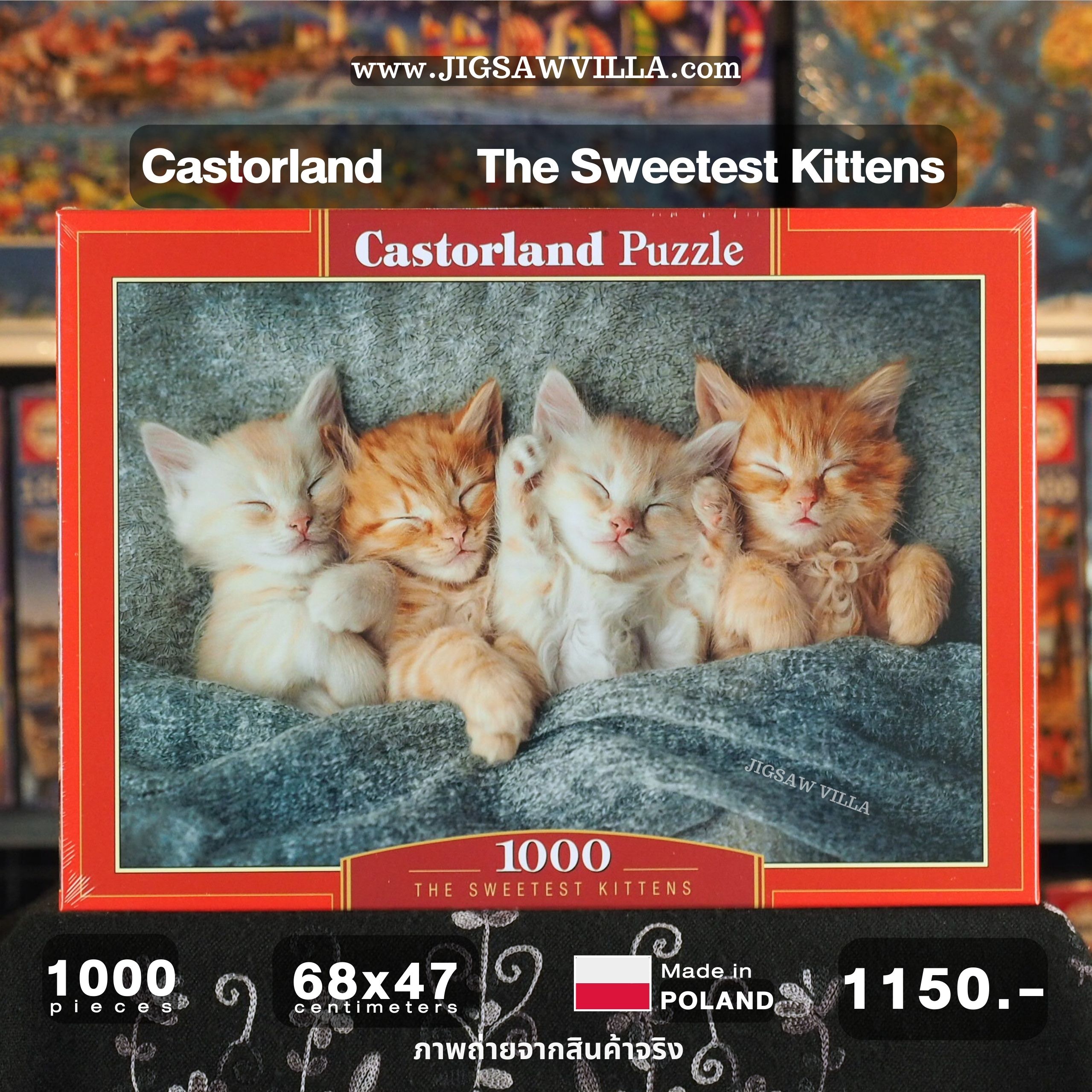 Castorland - The Sweetest Kittens 1000 pcs.