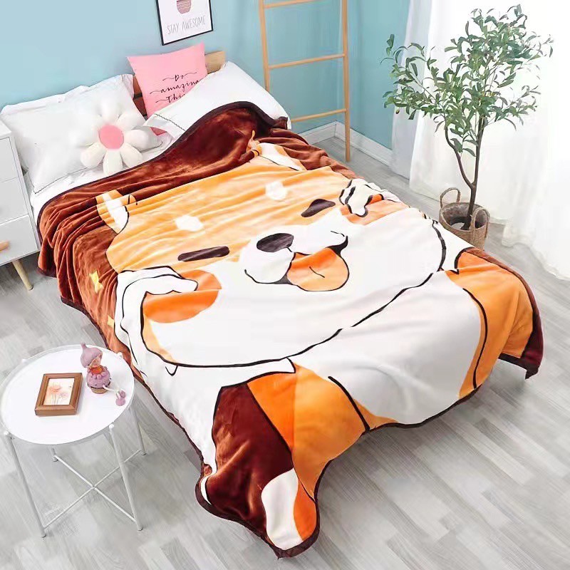 ผ้าห่มขนมิ้ง 6 ฟุต หนัก 2 KG ความหนาผ้า 2 ชั้น (คละลาย 6 ผืน)