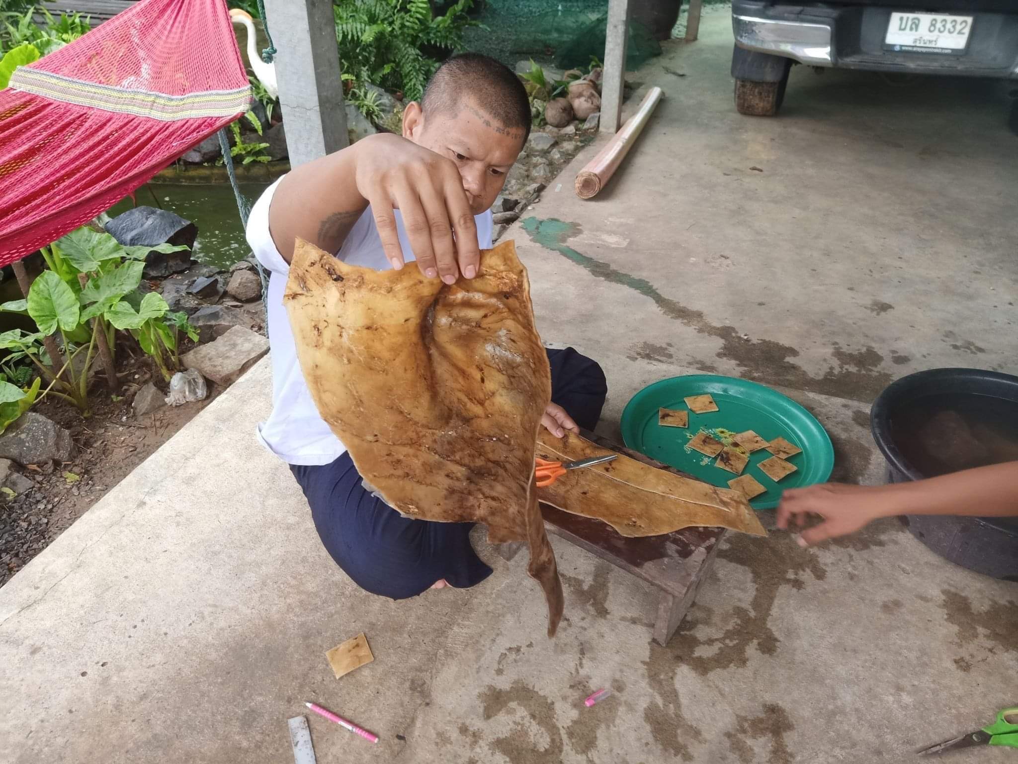 ตะกรุดหนังกลองแตกแหวกใจมนุษย์ อาจารย์เขมร FLT