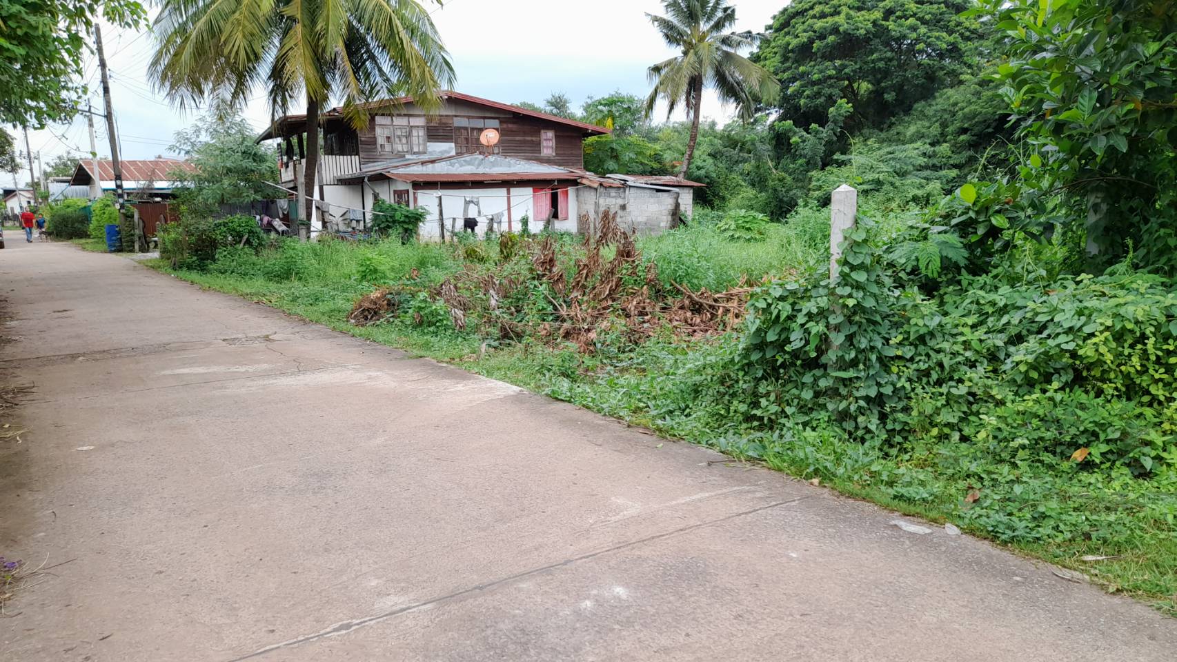 ขายที่ดินซอยตาโม ถ.อุดร-หนองใส ต.หนองบัว อ.เมืองอุดรธานี