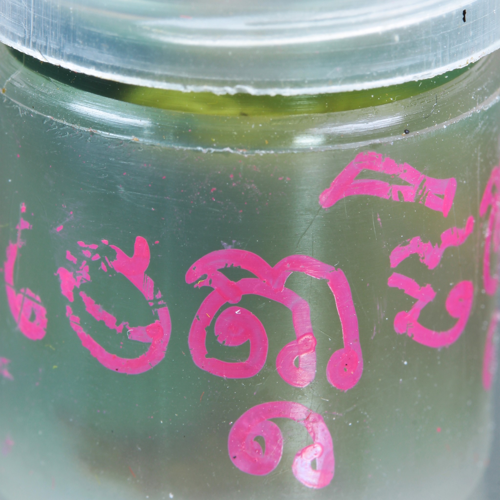 น้ำมันรักลุ่มหลง อาจารย์ช้างสายชอง (FLT)