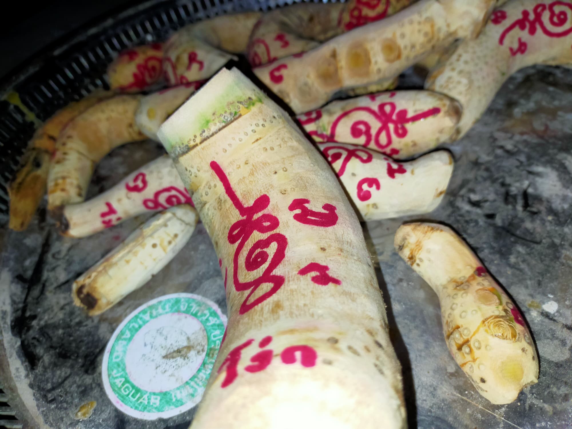 ⭕️ คตไม้ไผ่ อาจารย์โง่ก พจน์รัมย์