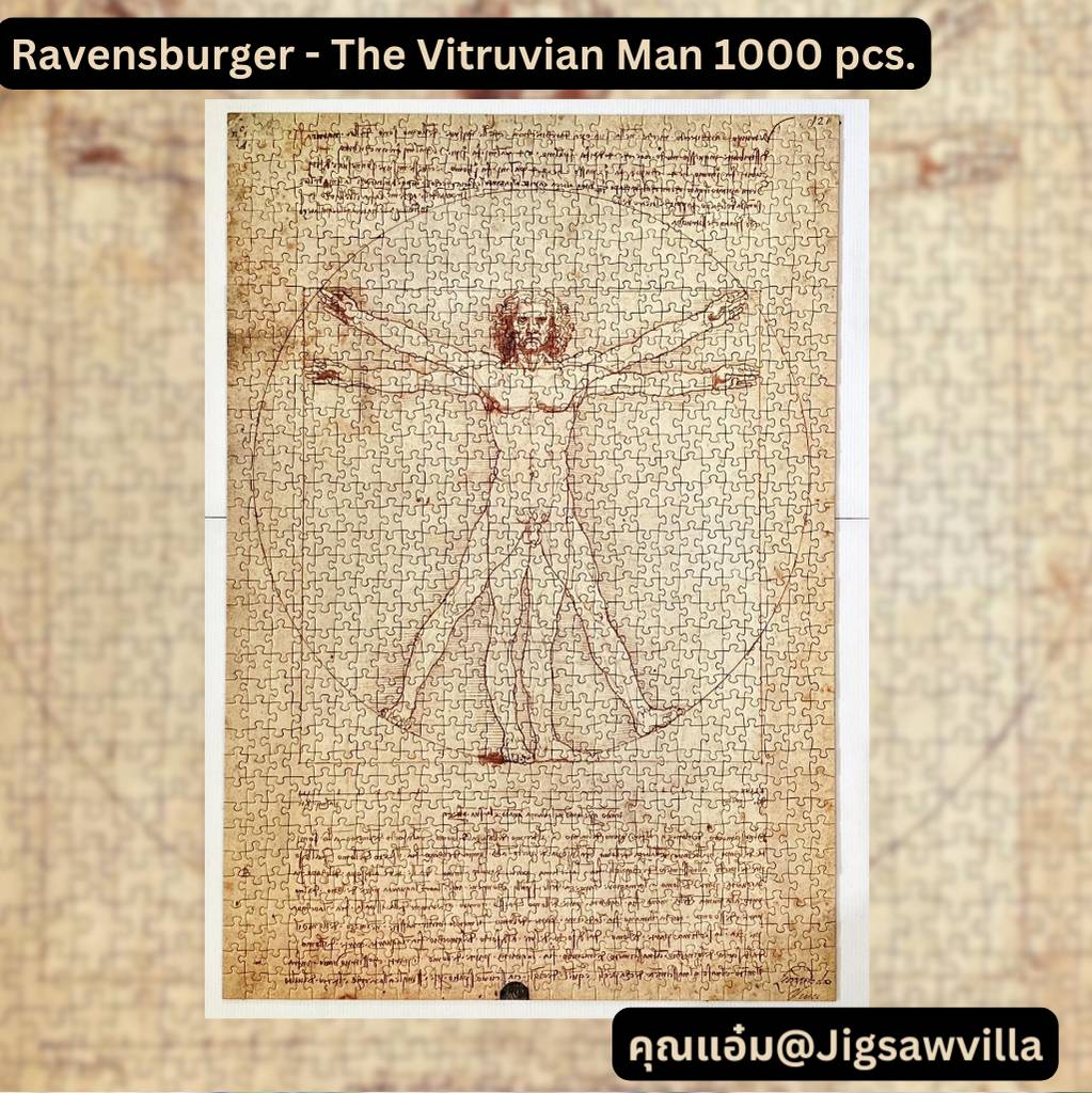 Ravensburger - Vitruvian Man by Leonardo Davinci 1000 pcs.