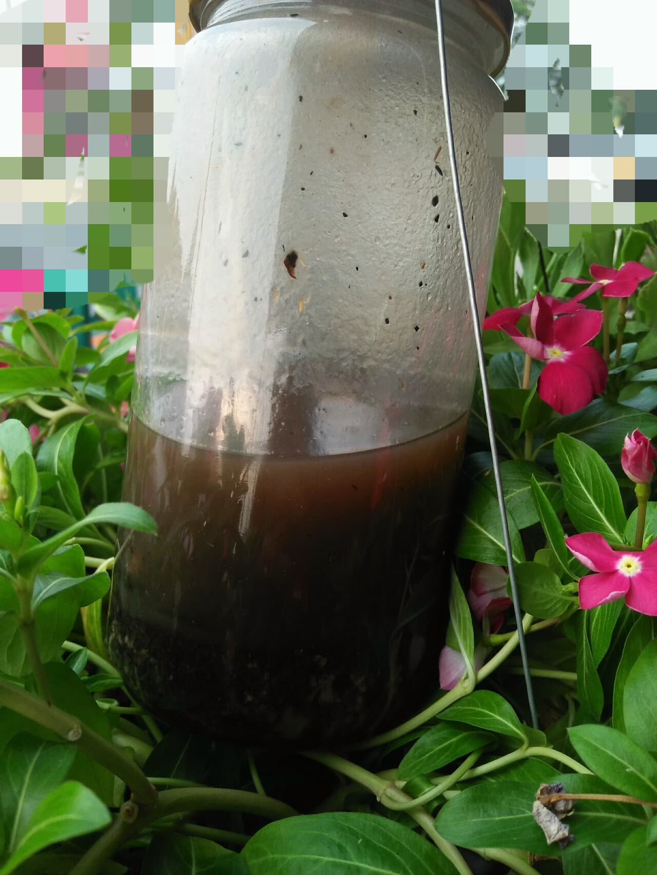 น้ำมันพรายนางคำ อ.ธรรมภิรักษ์