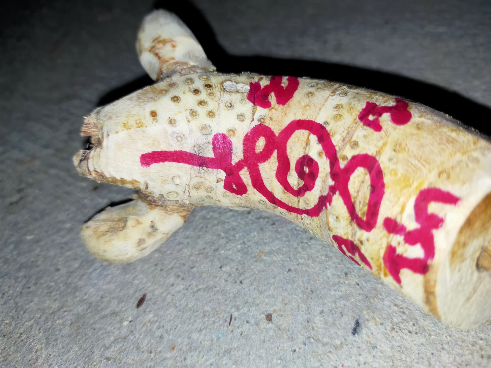 ⭕️ คตไม้ไผ่ อาจารย์โง่ก พจน์รัมย์