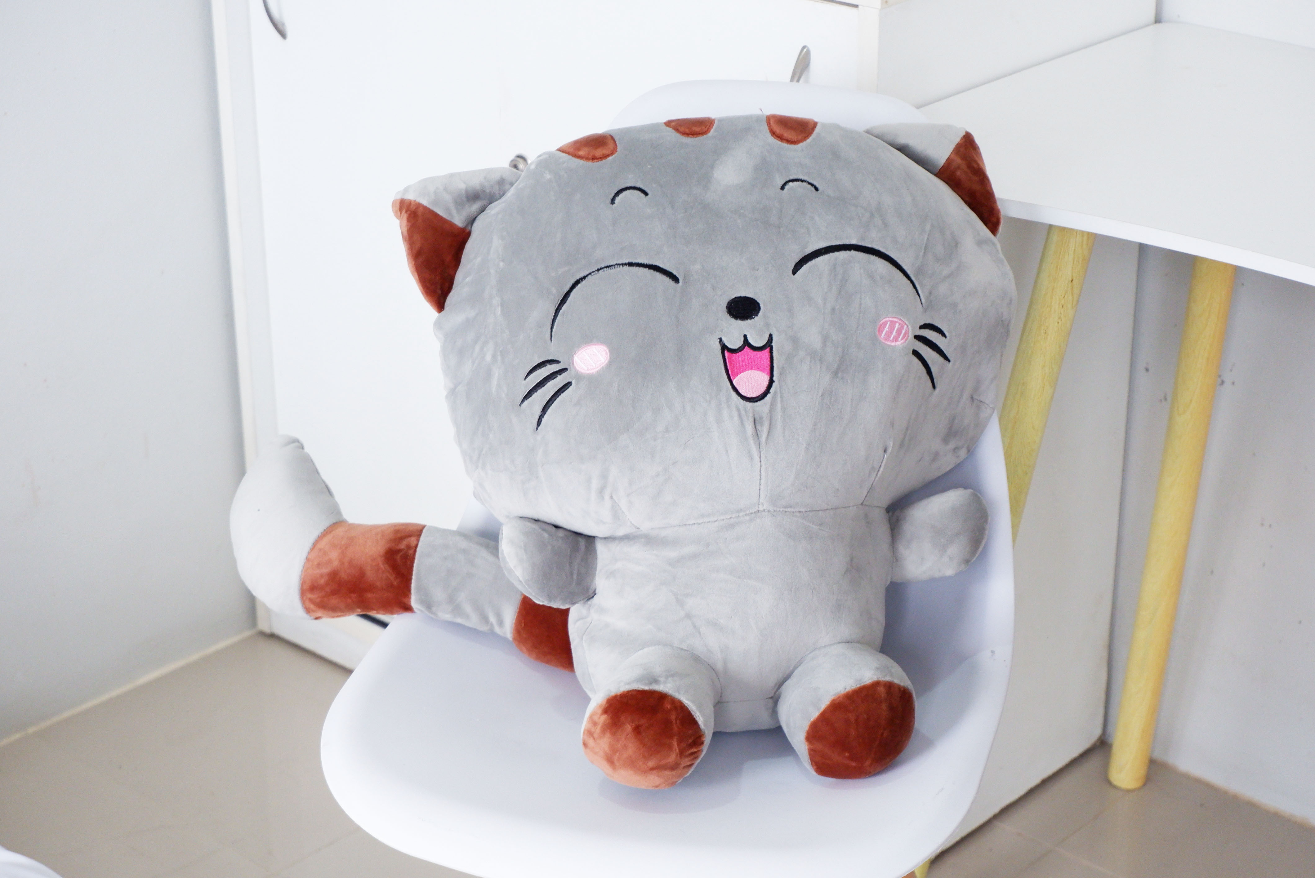 ตุ๊กตาผ้าห่ม แมวมีหาง (10 ตัวคละสี)