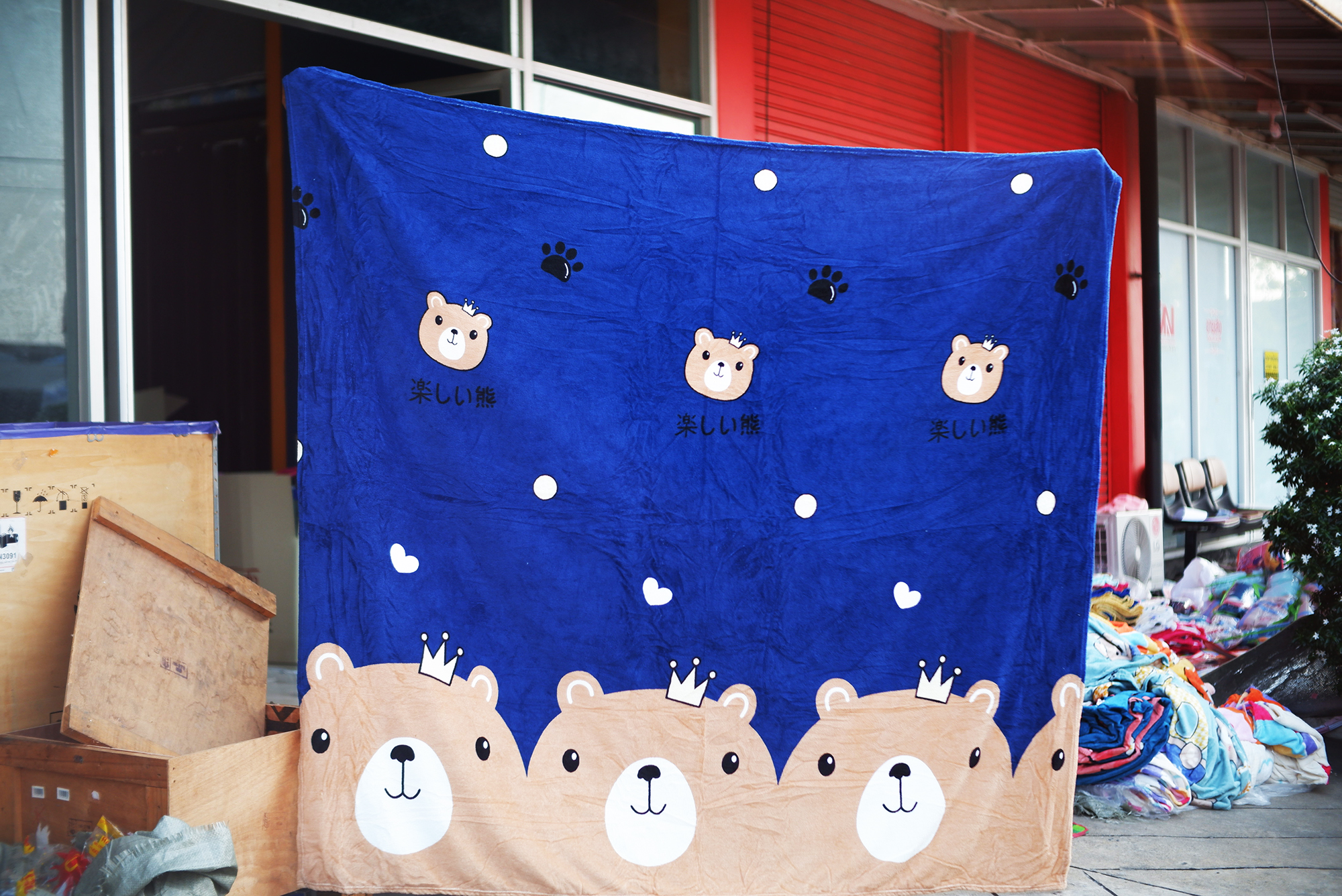 ผ้าห่มนาโน 6 ฟุตลายการ์ตูนเย็บขอบธรรมดา (12ผืนคละลาย)