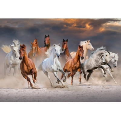 Bluebird Puzzle - The Horse Race by Callipso 1000 pcs.